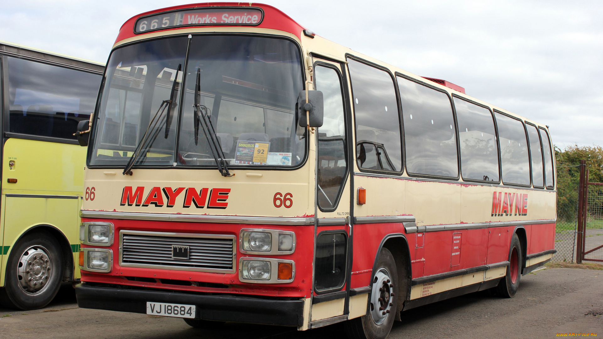 автомобили, автобусы, транспорт, пассажирский