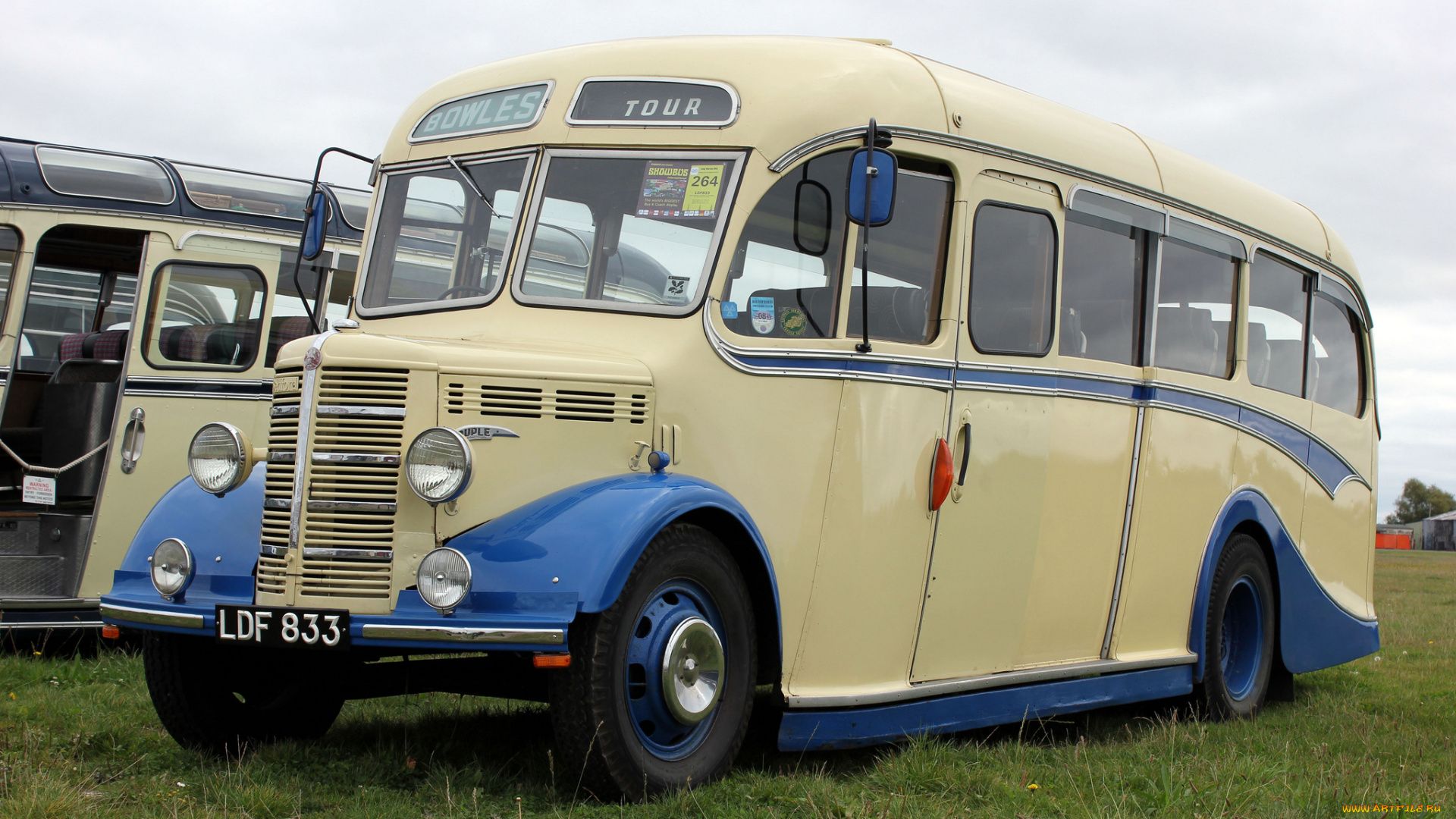 автомобили, автобусы, транспорт, пассажирский