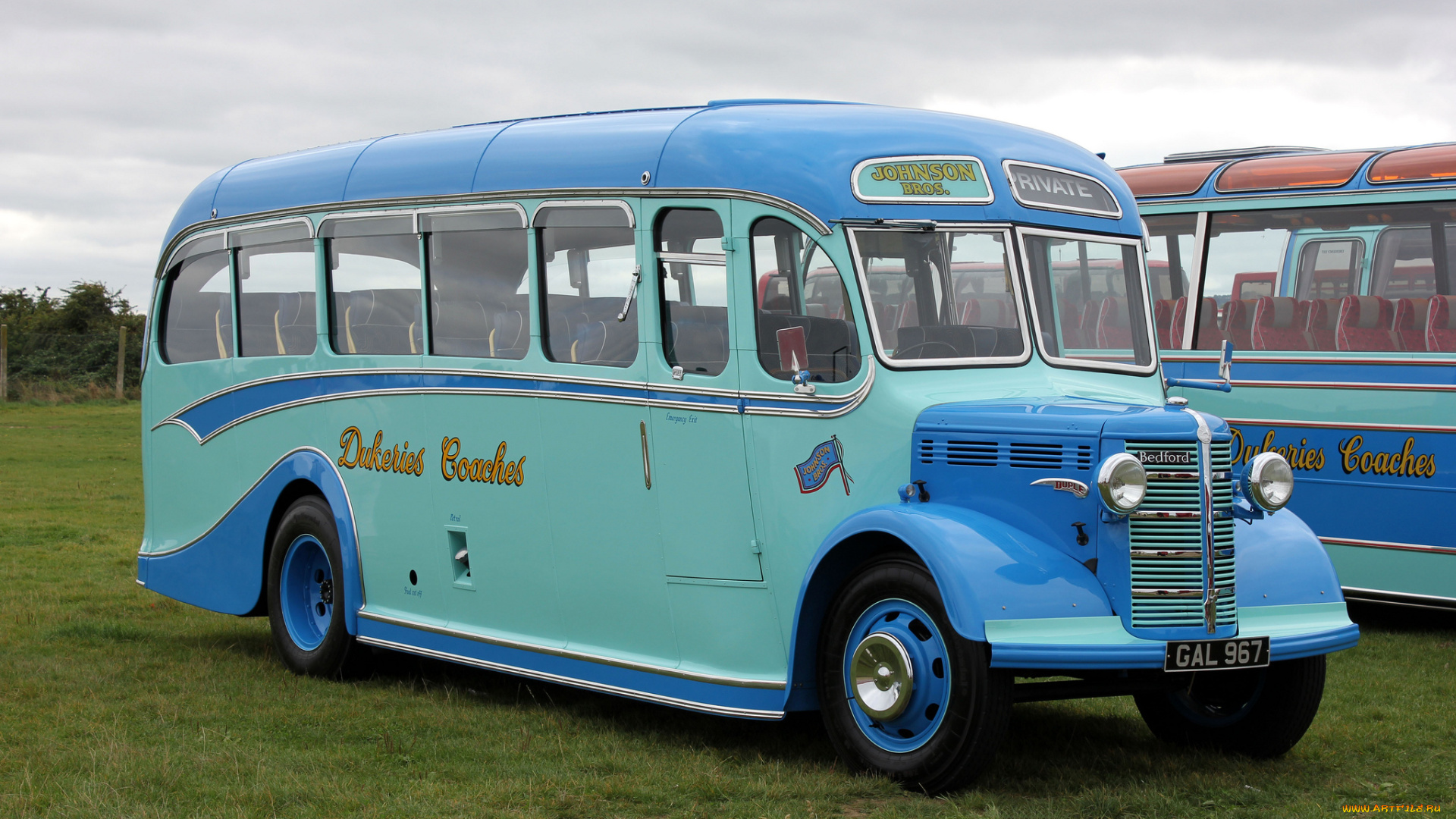 автомобили, автобусы, транспорт, пассажирский