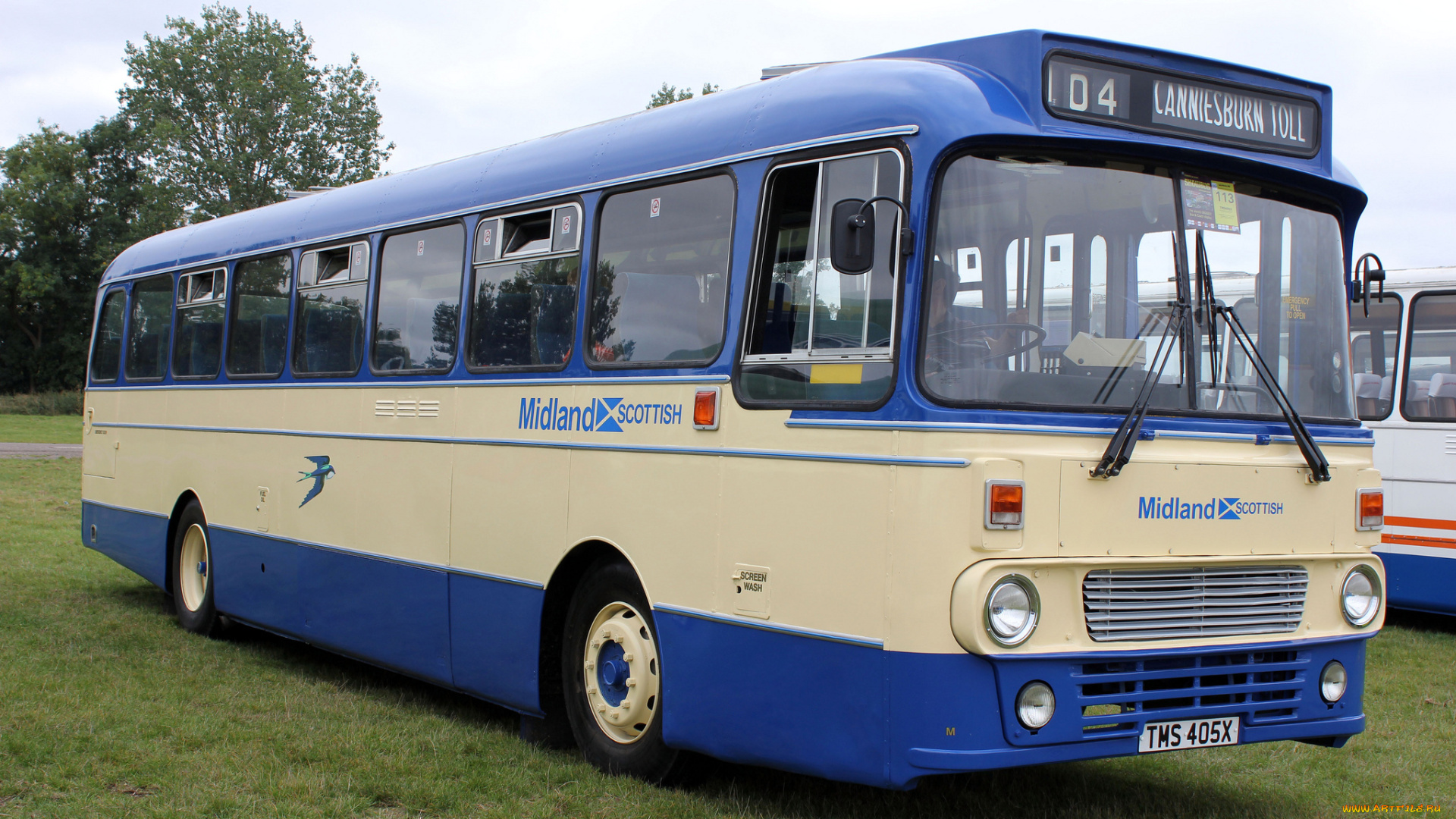 автомобили, автобусы, транспорт, пассажирский