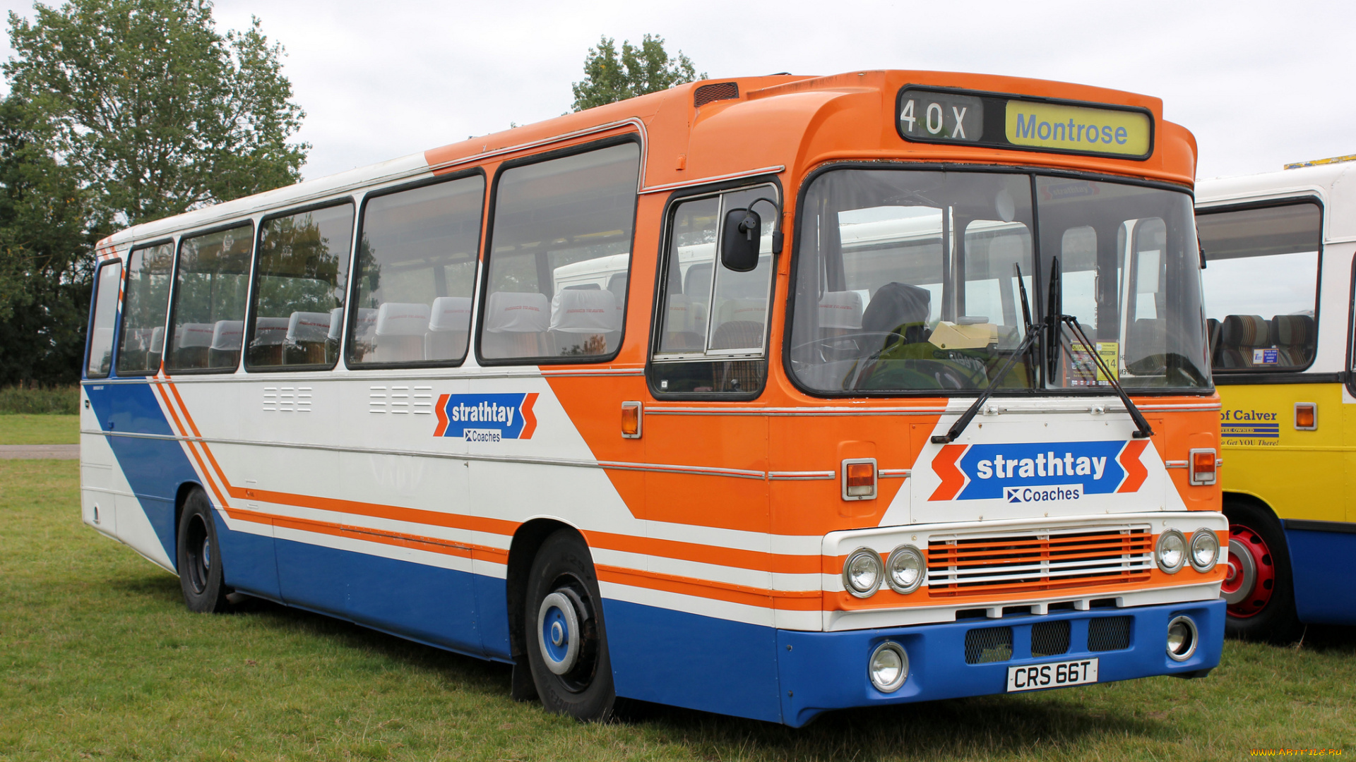 автомобили, автобусы, транспорт, пассажирский