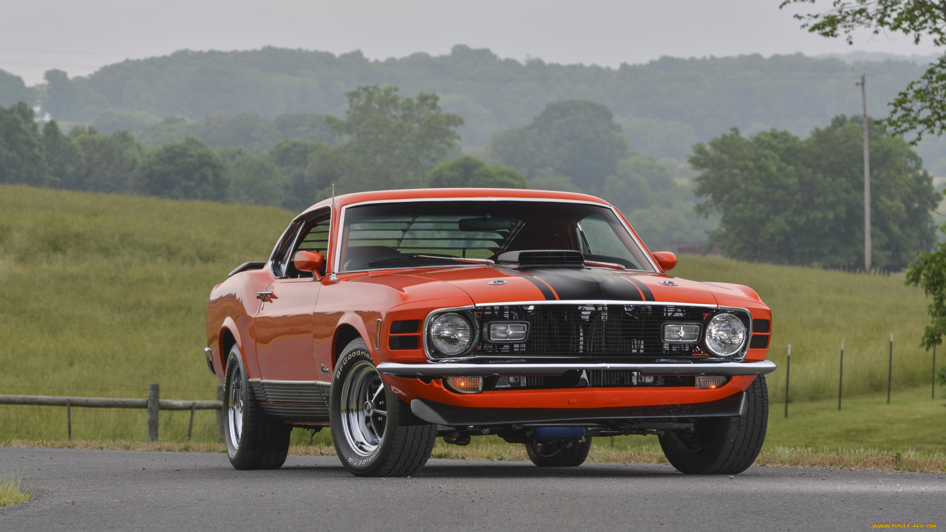 автомобили, mustang