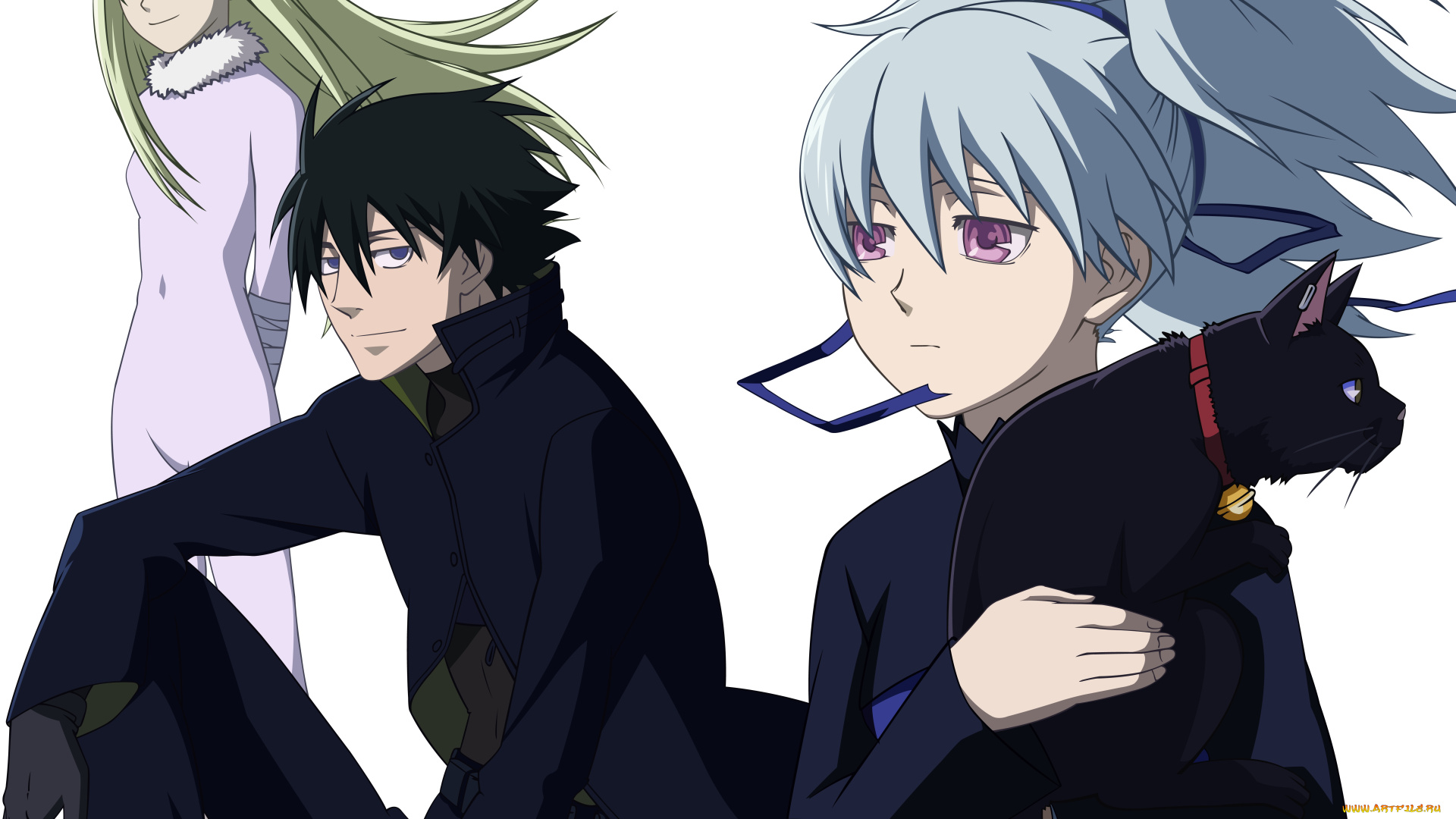 darker, than, black, аниме, взгляд, фон, кот, парень, девушки