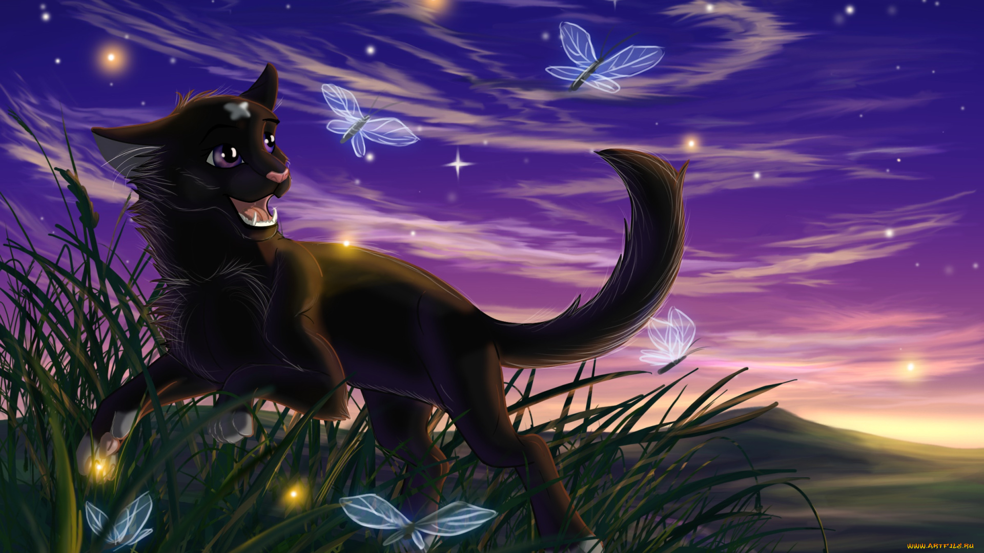 рисованное, животные, , коты, бабочки, фон, коты, взгляд