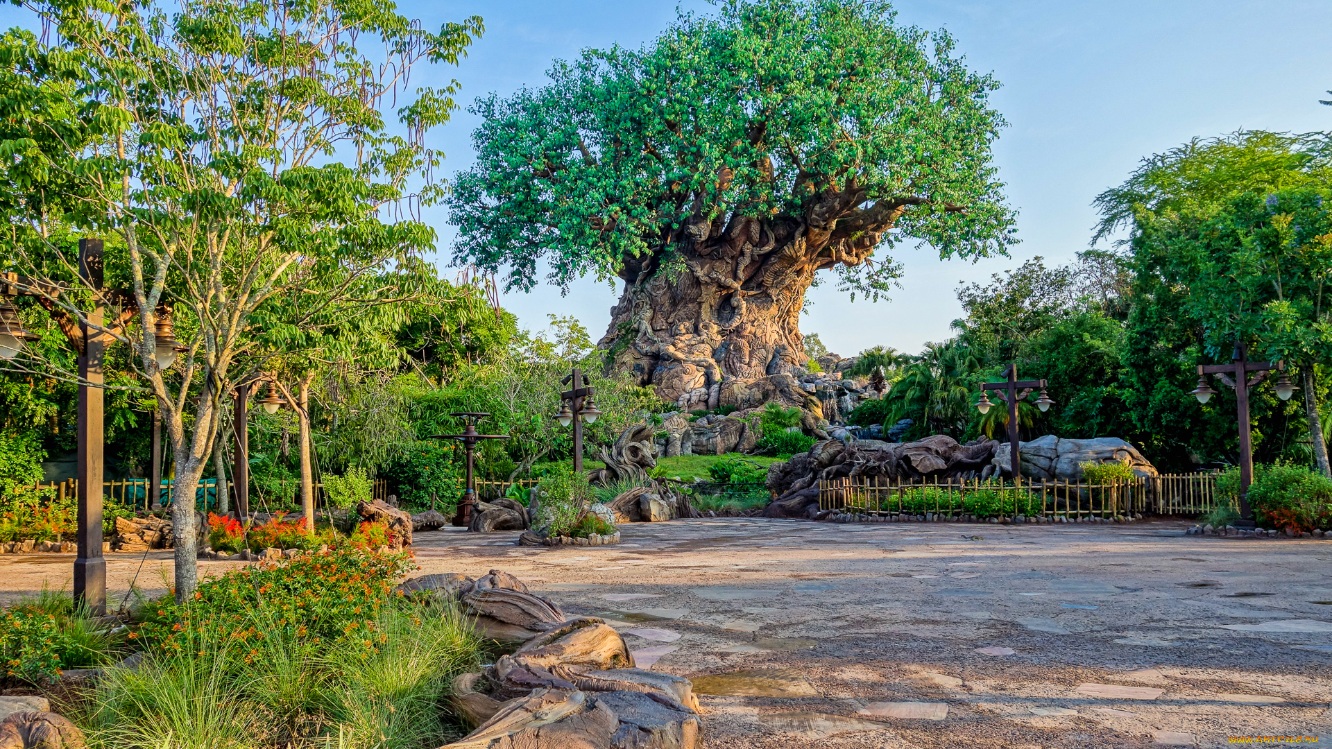 tree, of, life, природа, деревья, дерево, парк