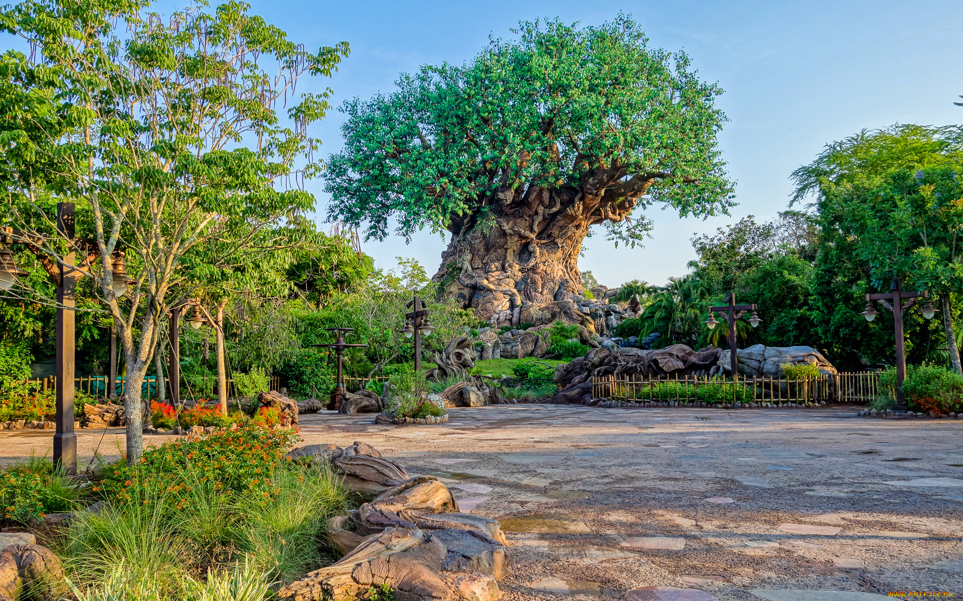 tree, of, life, природа, деревья, дерево, парк