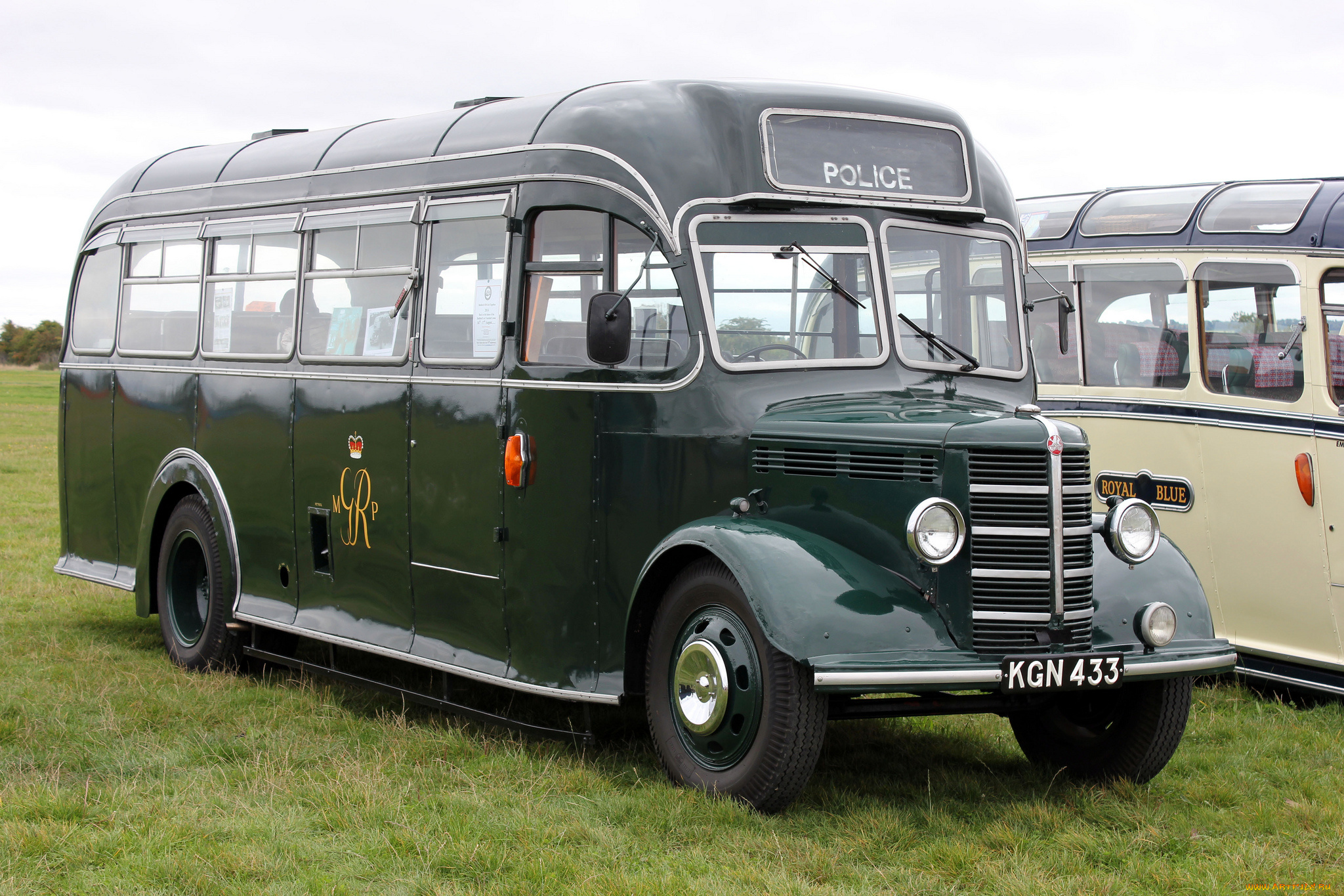 автомобили, автобусы, транспорт, пассажирский