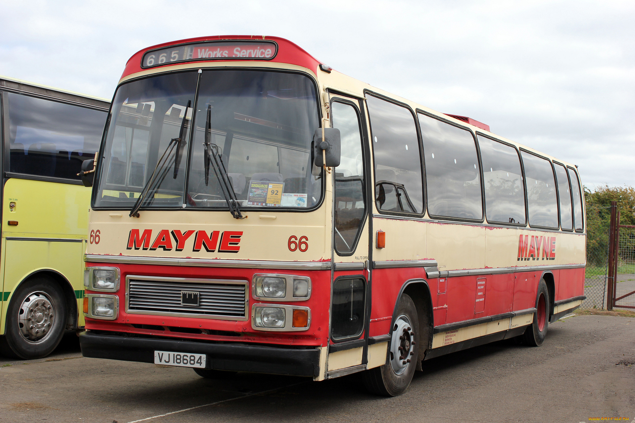 автомобили, автобусы, транспорт, пассажирский