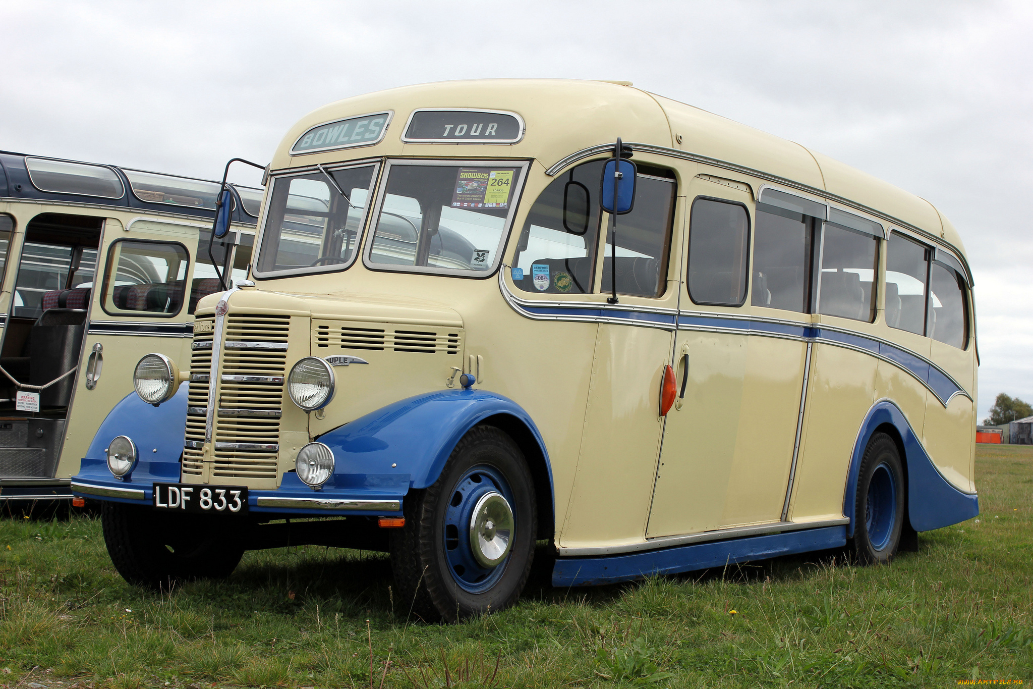 автомобили, автобусы, транспорт, пассажирский