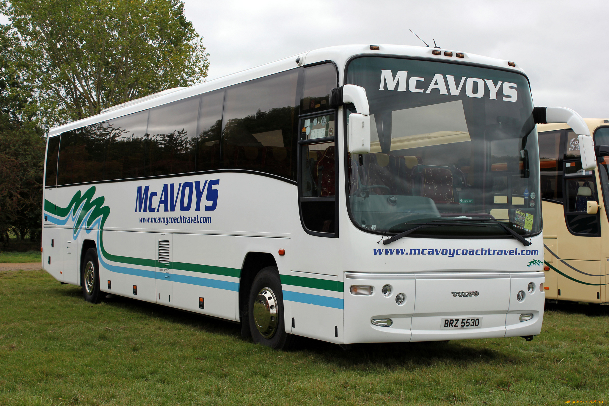 автомобили, автобусы, транспорт, пассажирский