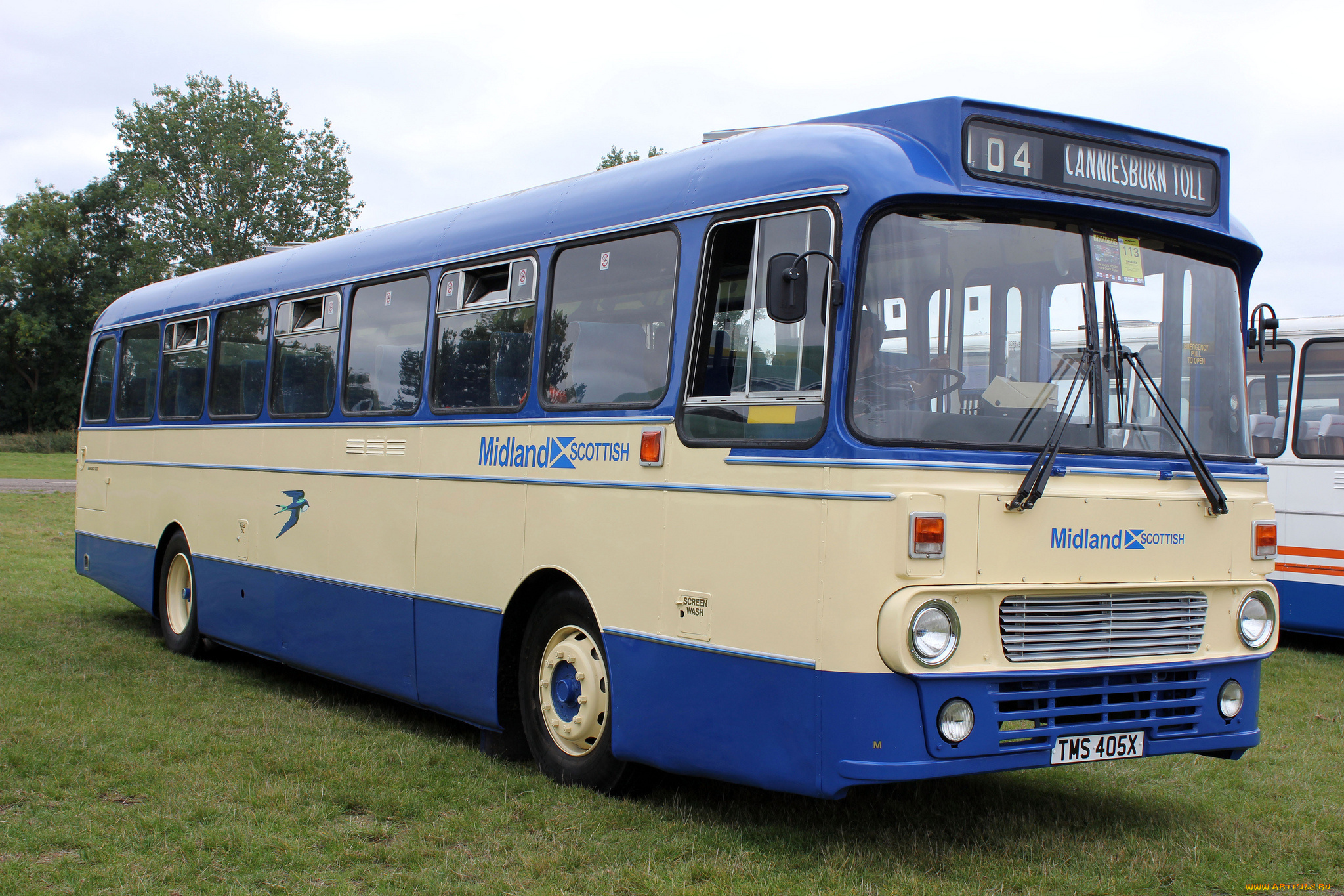 автомобили, автобусы, транспорт, пассажирский