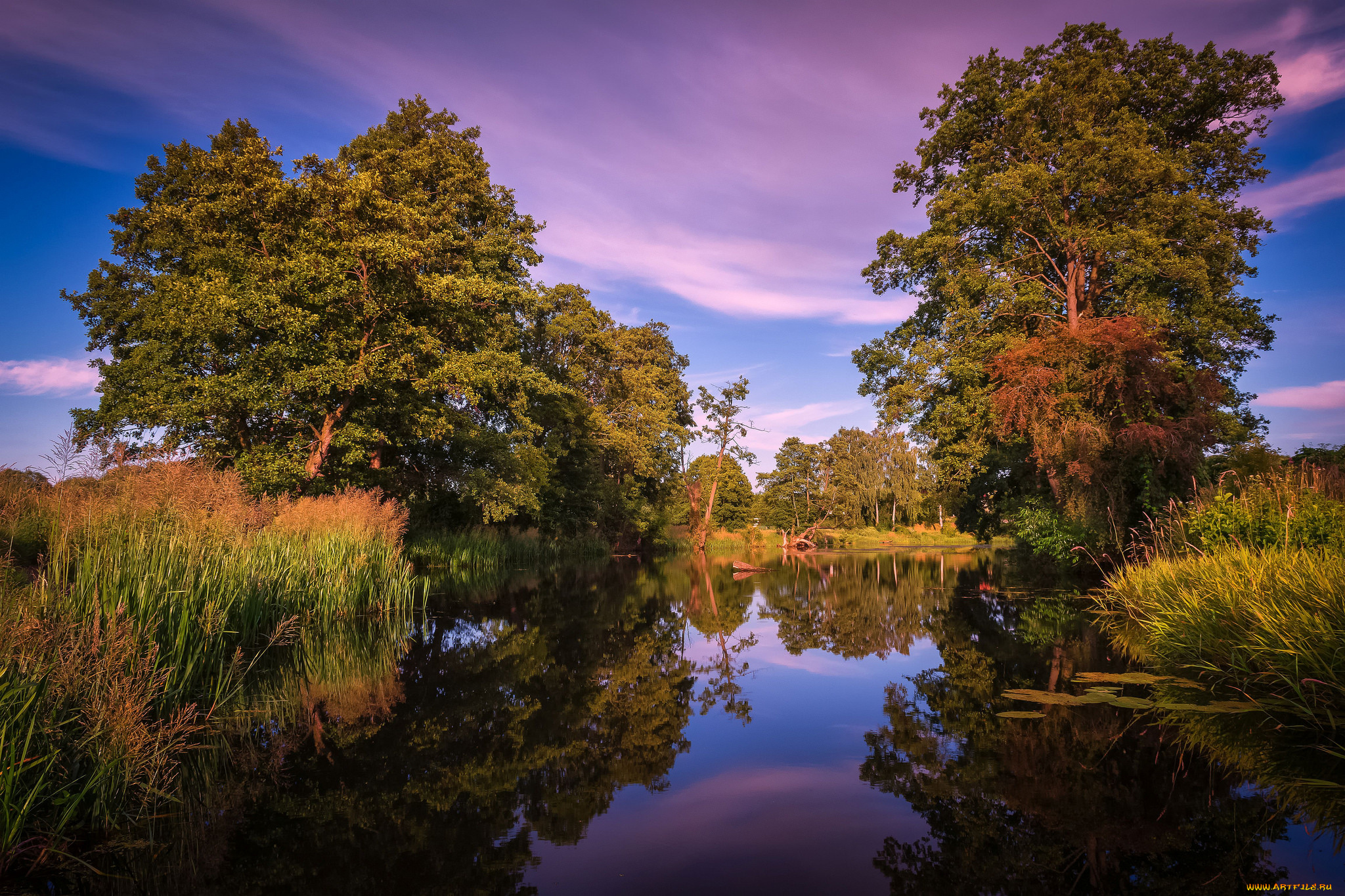 природа, реки, озера, лес, река