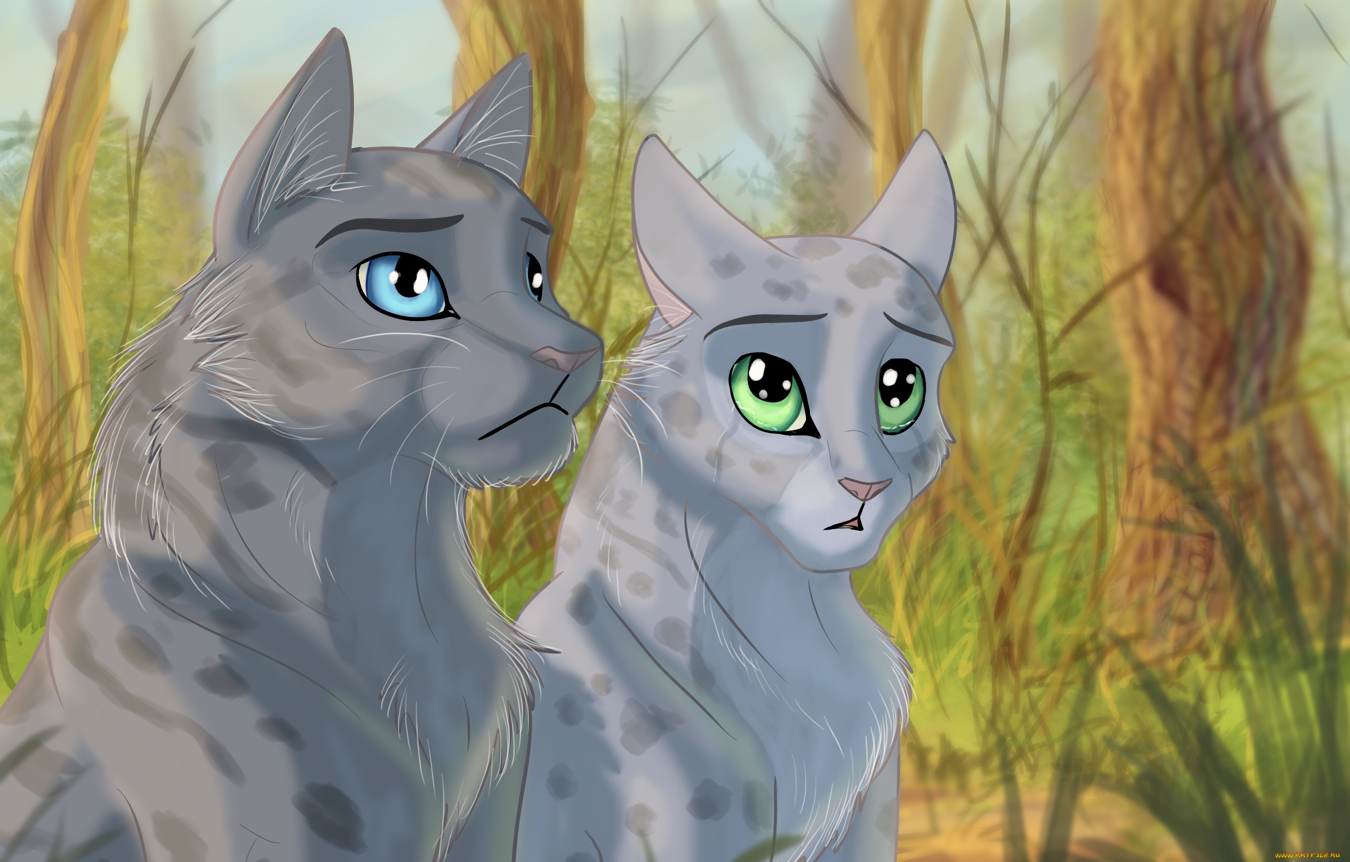 рисованное, животные, , коты, друзья, встреча, коты, фон