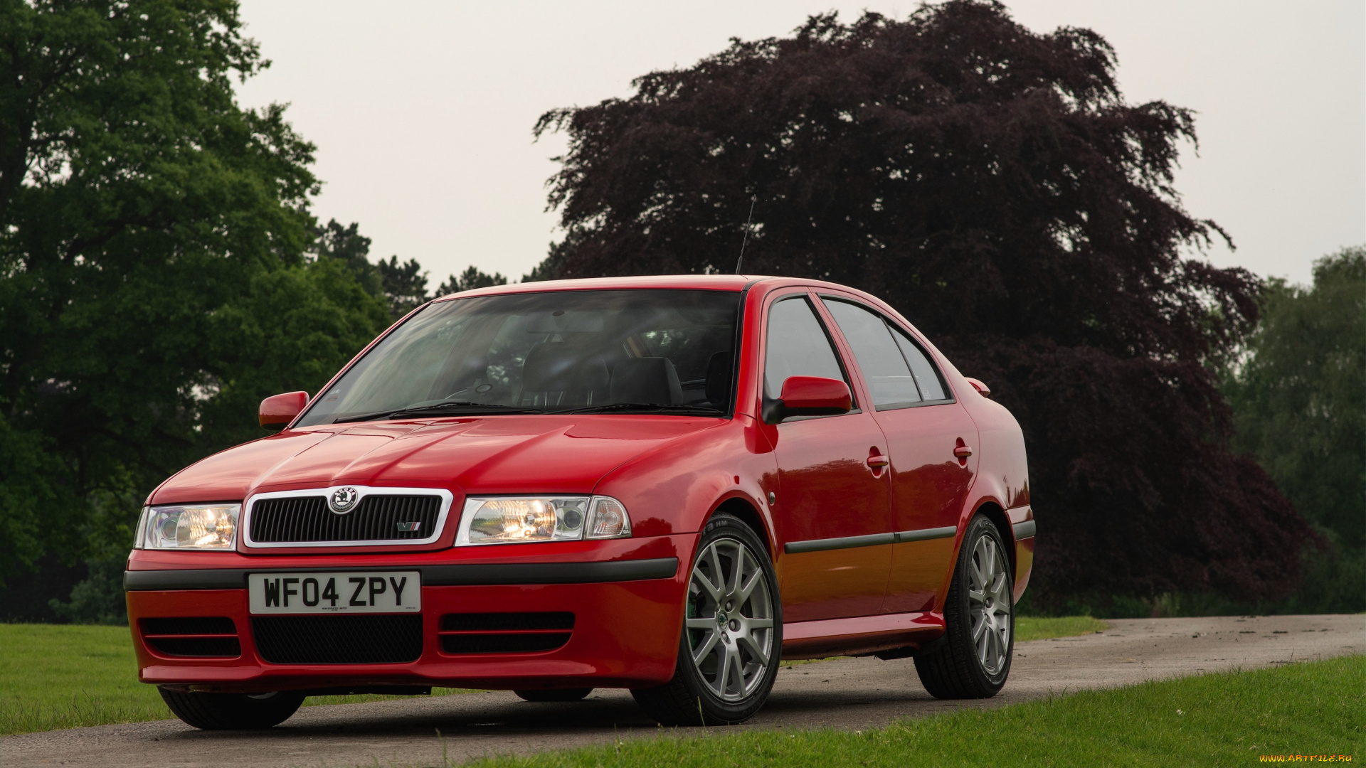 автомобили, skoda