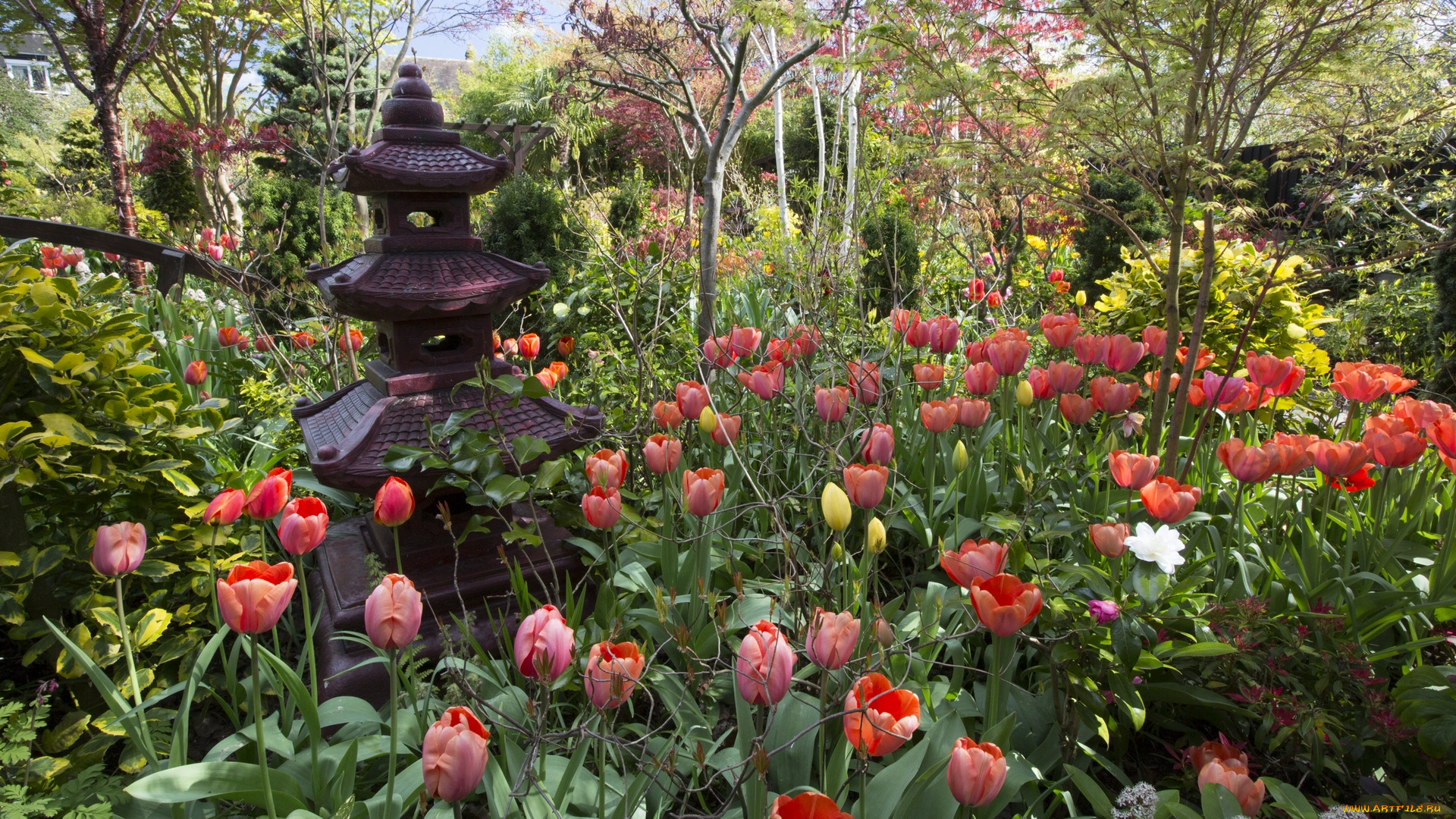 англия, разное, садовые, и, парковые, скульптуры, деревья, тюльпаны