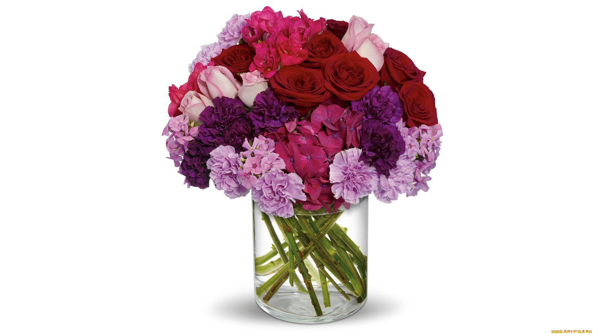 цветы, букеты, , композиции, белый, фон