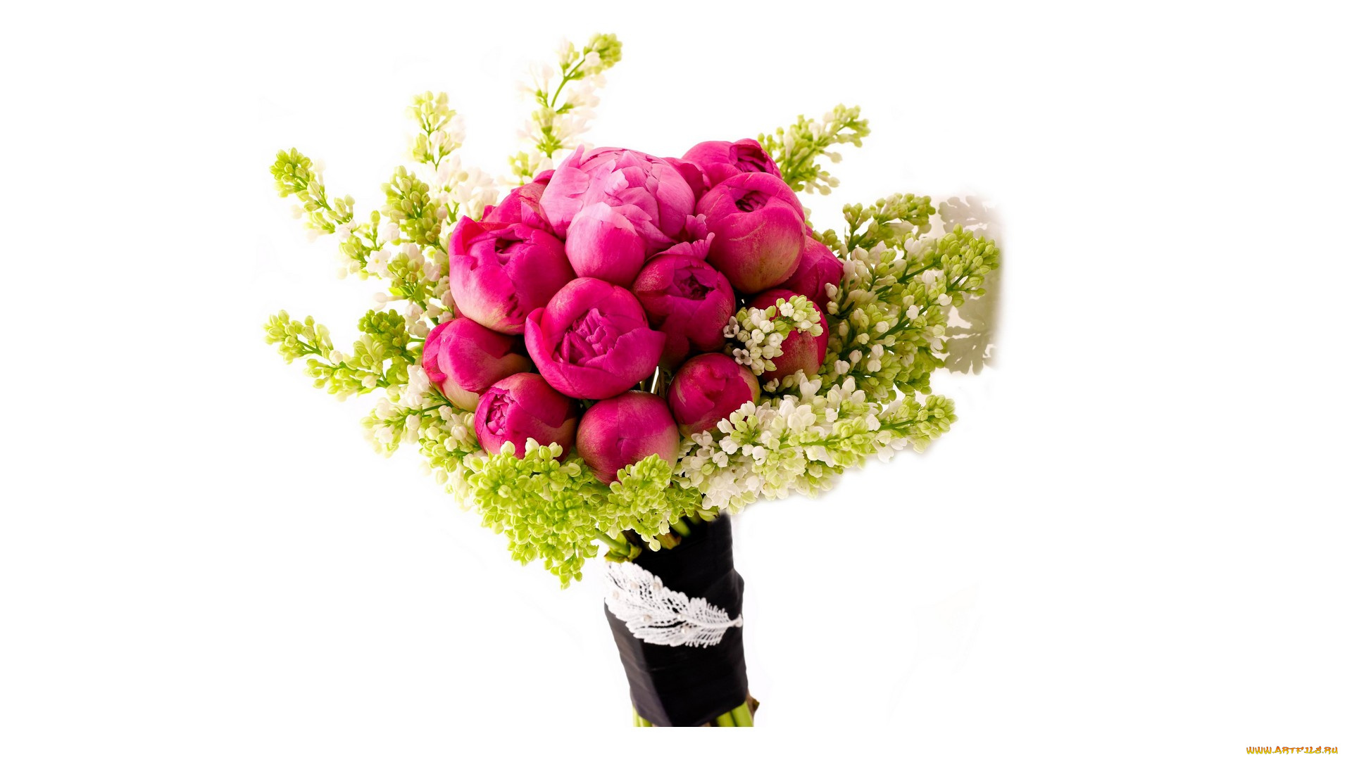 цветы, букеты, , композиции, белый, фон