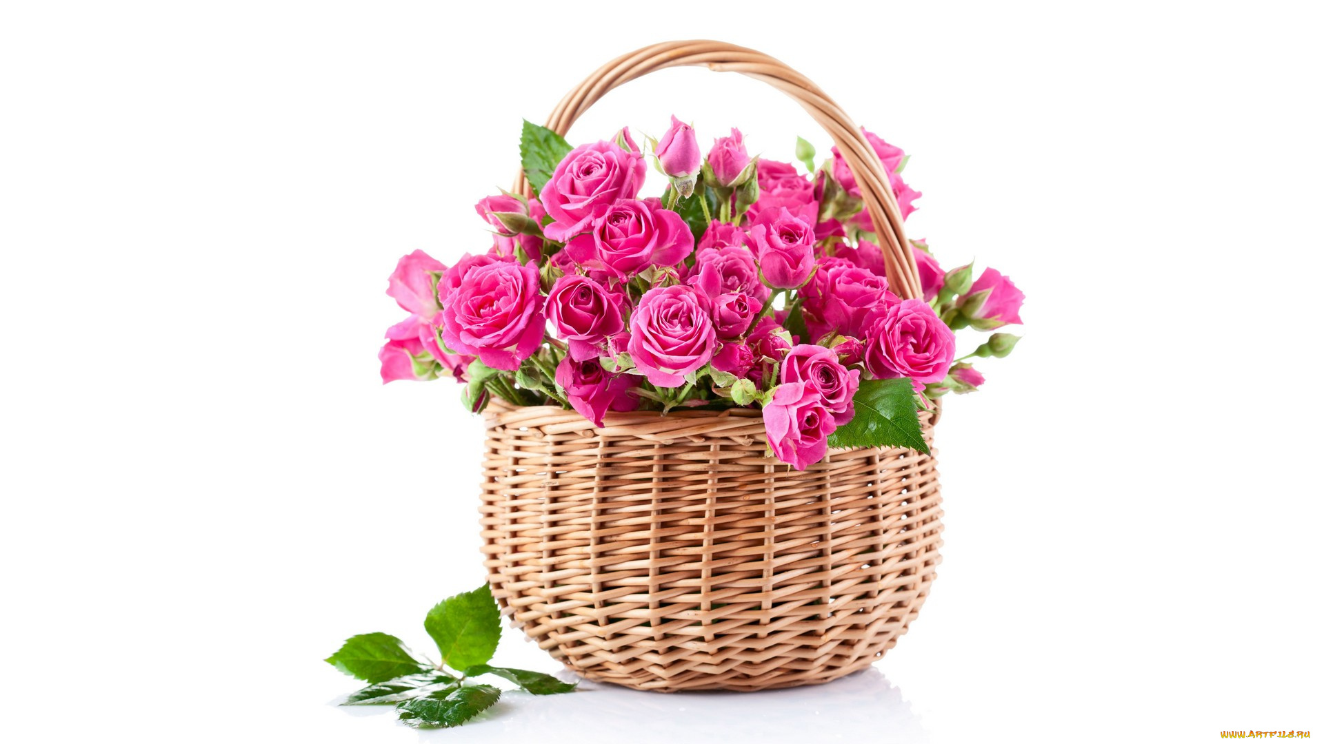 цветы, букеты, , композиции, белый, фон, корзина