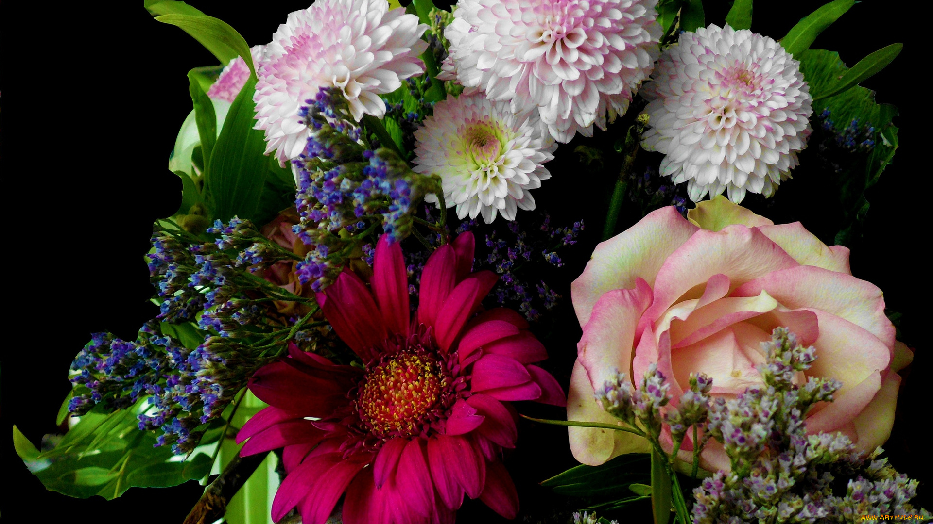 цветы, букеты, , композиции, черный, фон