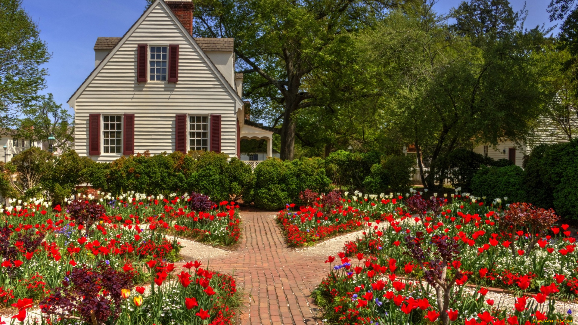 цветы, разные, вместе, деревья, дом, дорожка