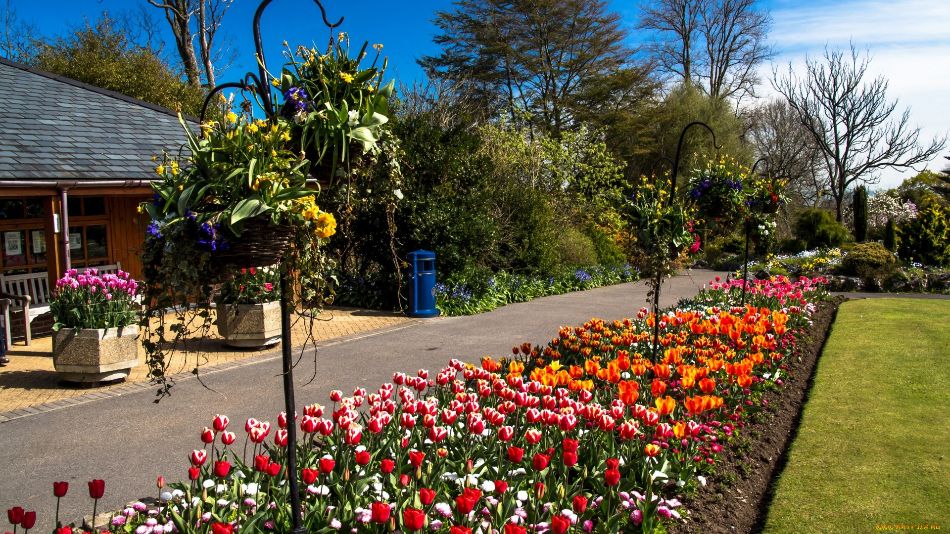 цветы, разные, вместе, деревья, здание, трава
