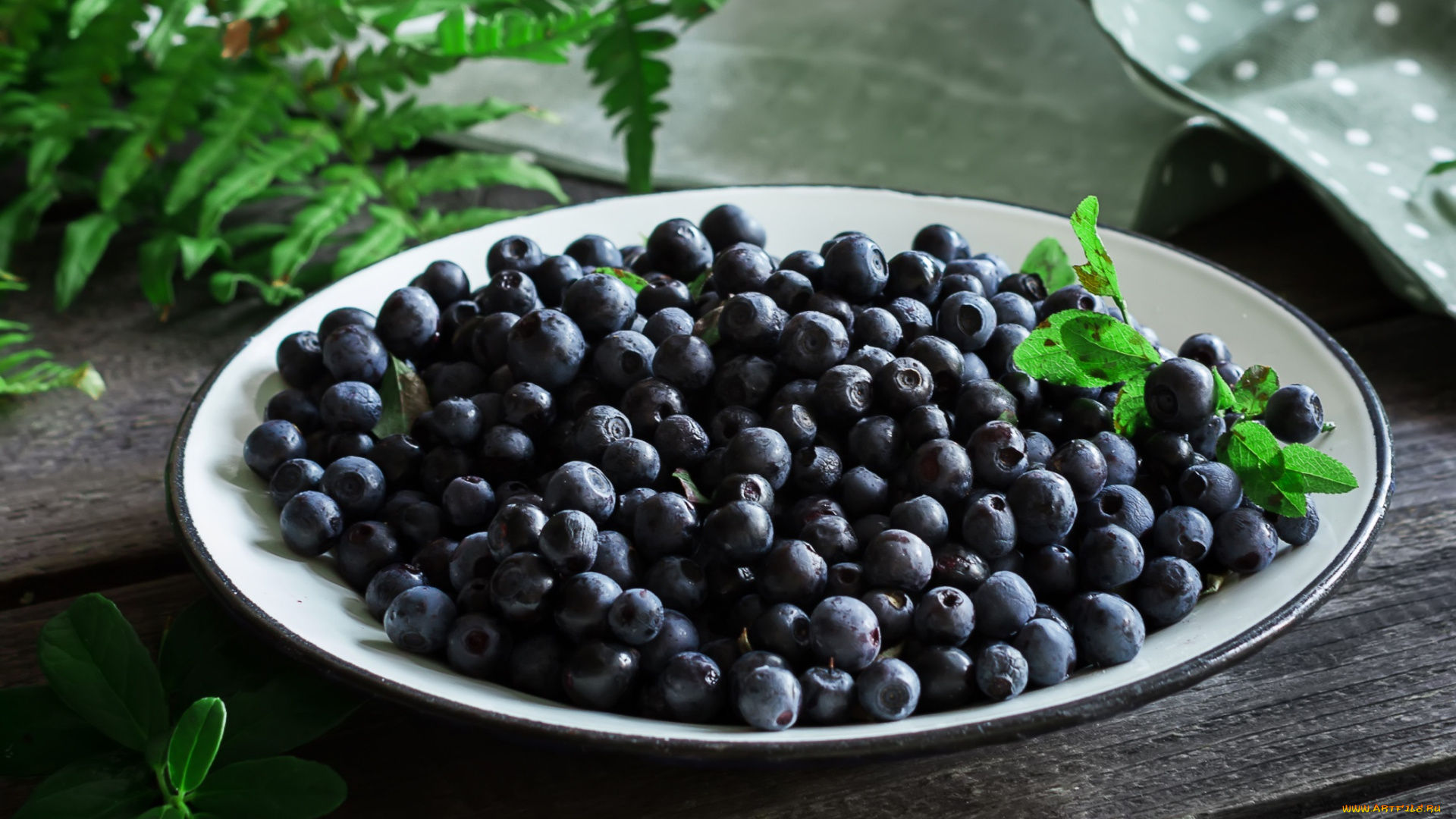 еда, голубика, , черника, ягоды, папоротник, черника