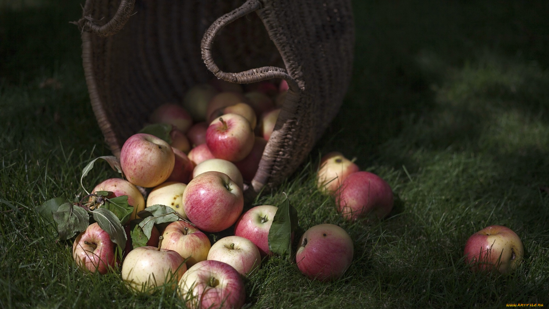 еда, Яблоки, корзина, трава