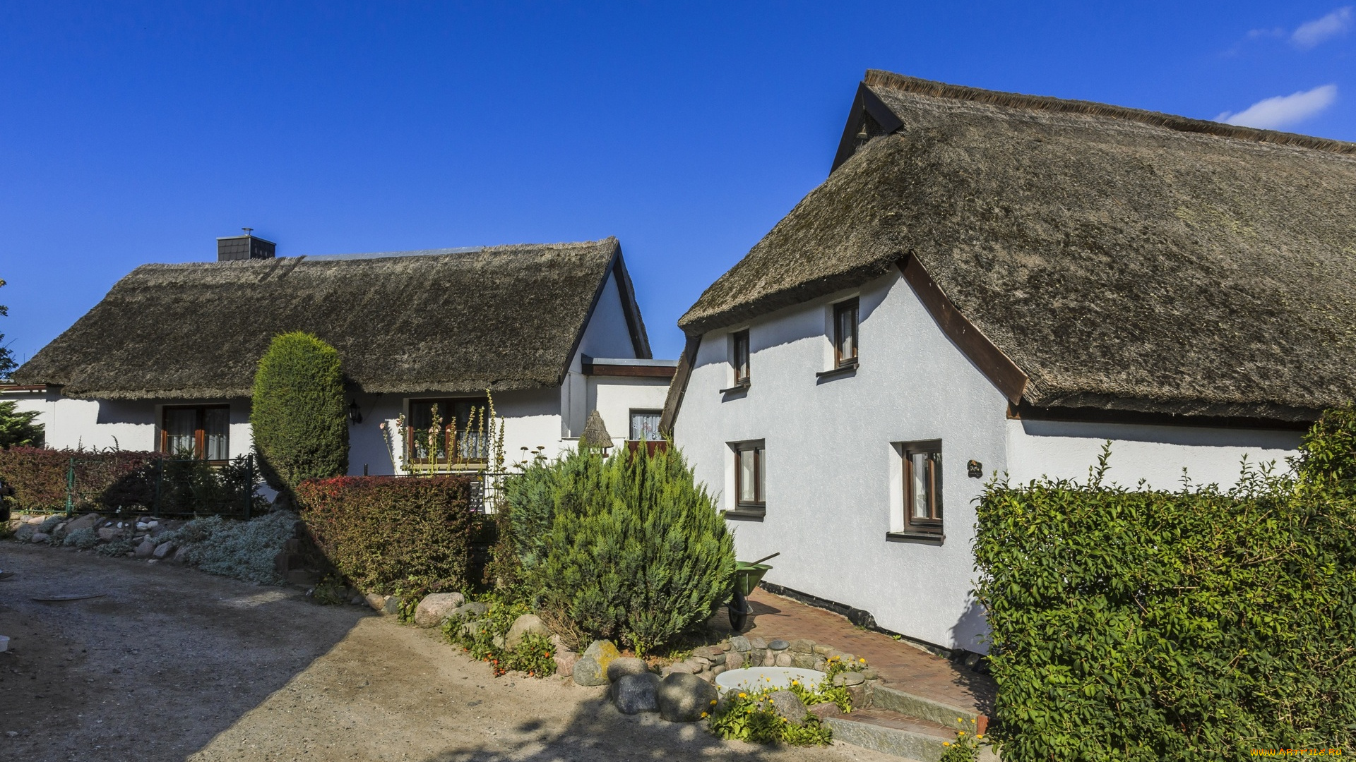 германия, города, -, здания, , дома, кустарники