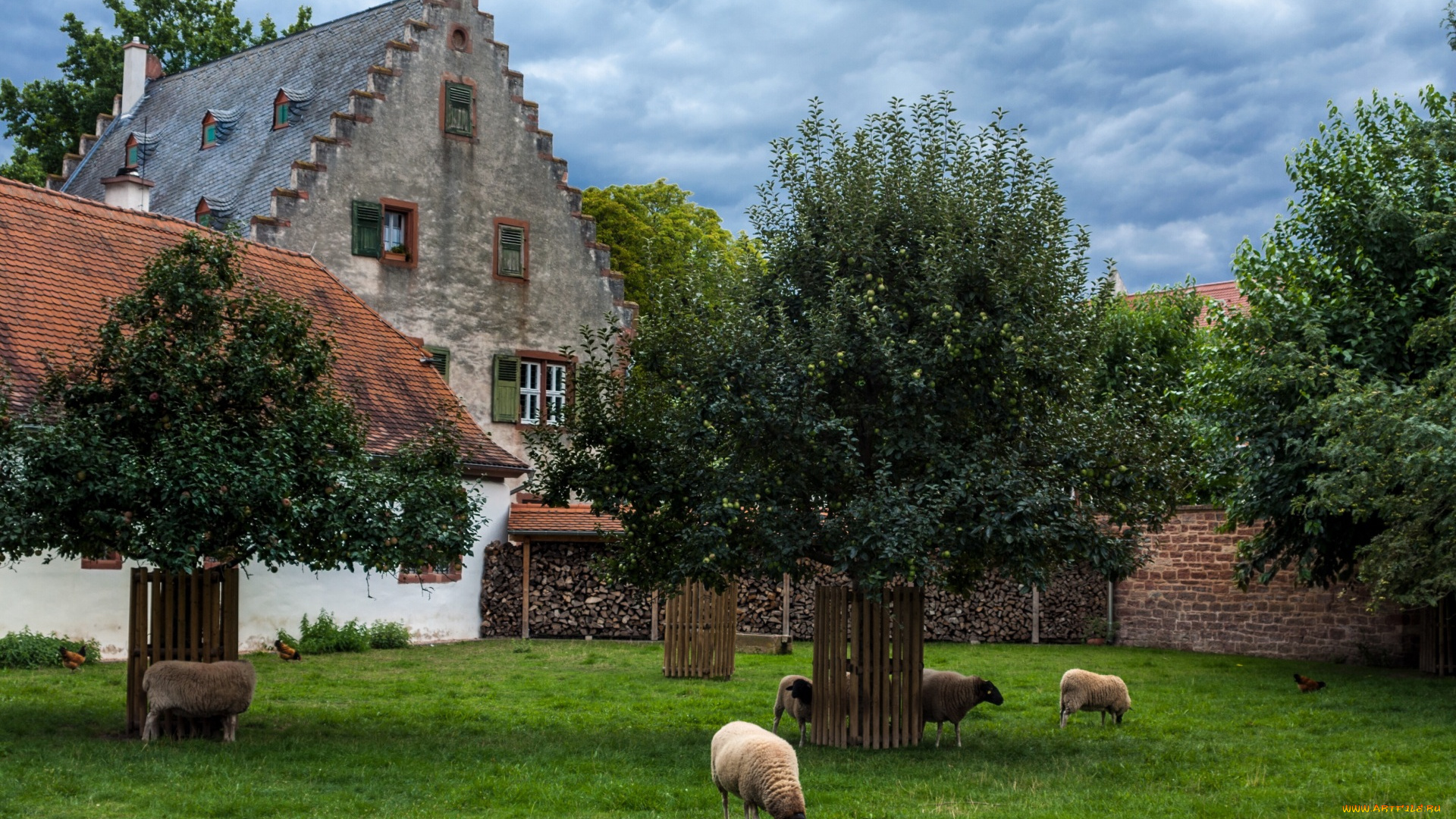 города, -, здания, , дома, овцы, деревья, облака, трава, здание