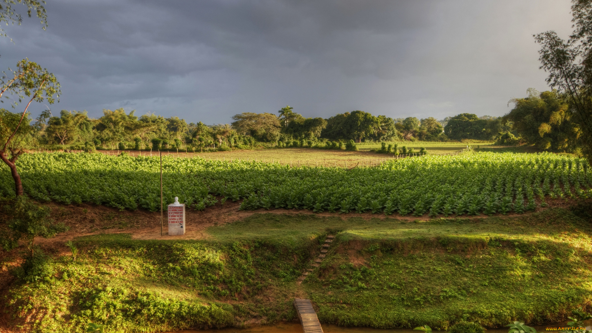 куба, природа, пейзажи, мост, деревья, трава, водоем