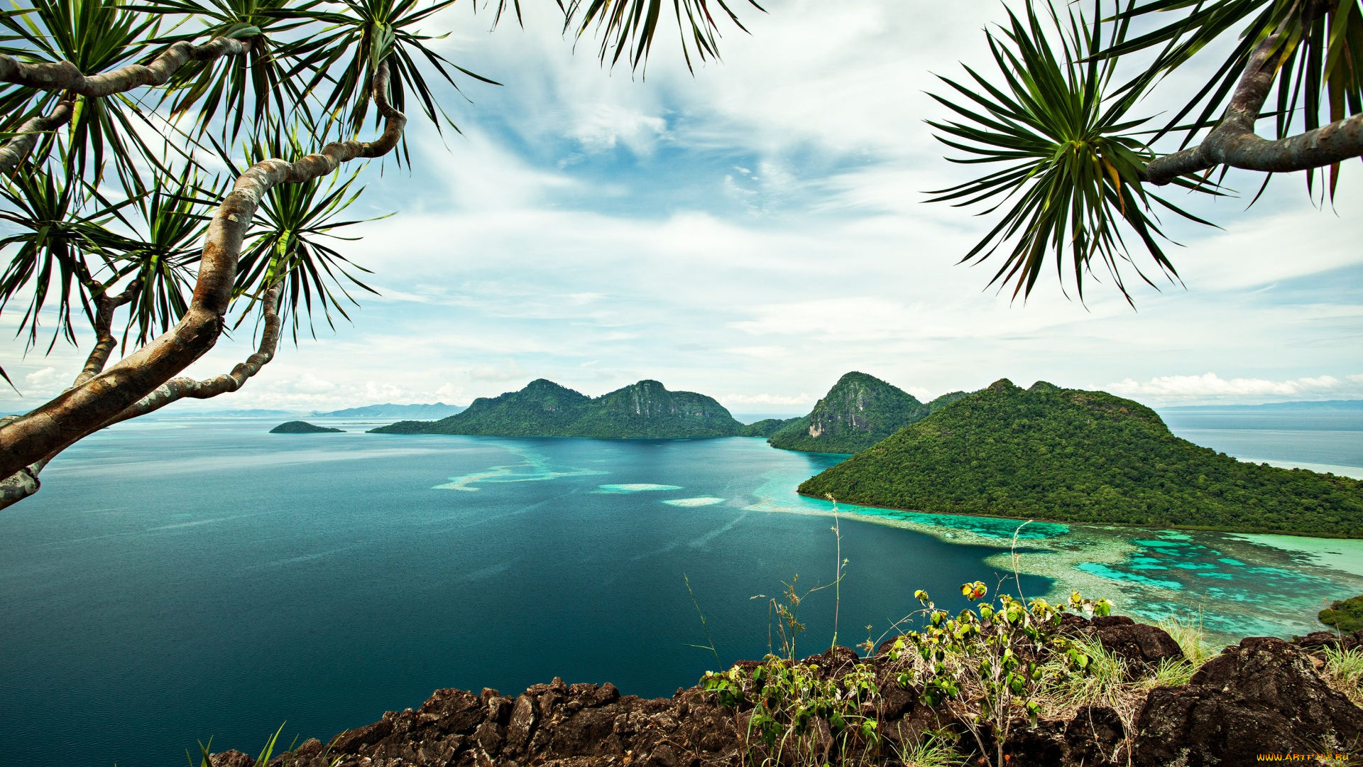 малайзия, природа, тропики, ветки, облака, острова