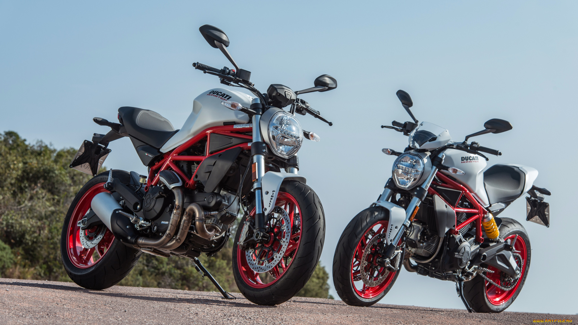 мотоциклы, ducati