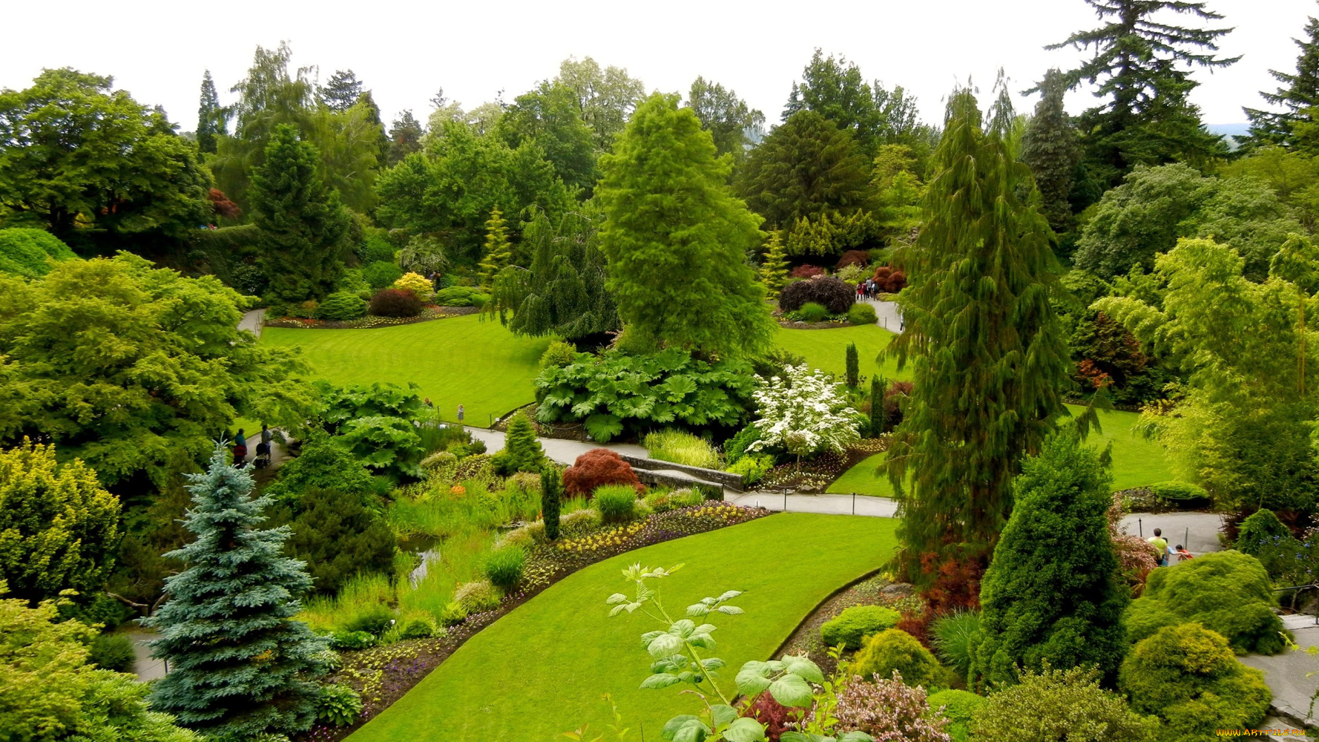 природа, парк, канада, queen, elizabeth, garden, ванкувер, зелень, кусты, деревья, газон, дизайн