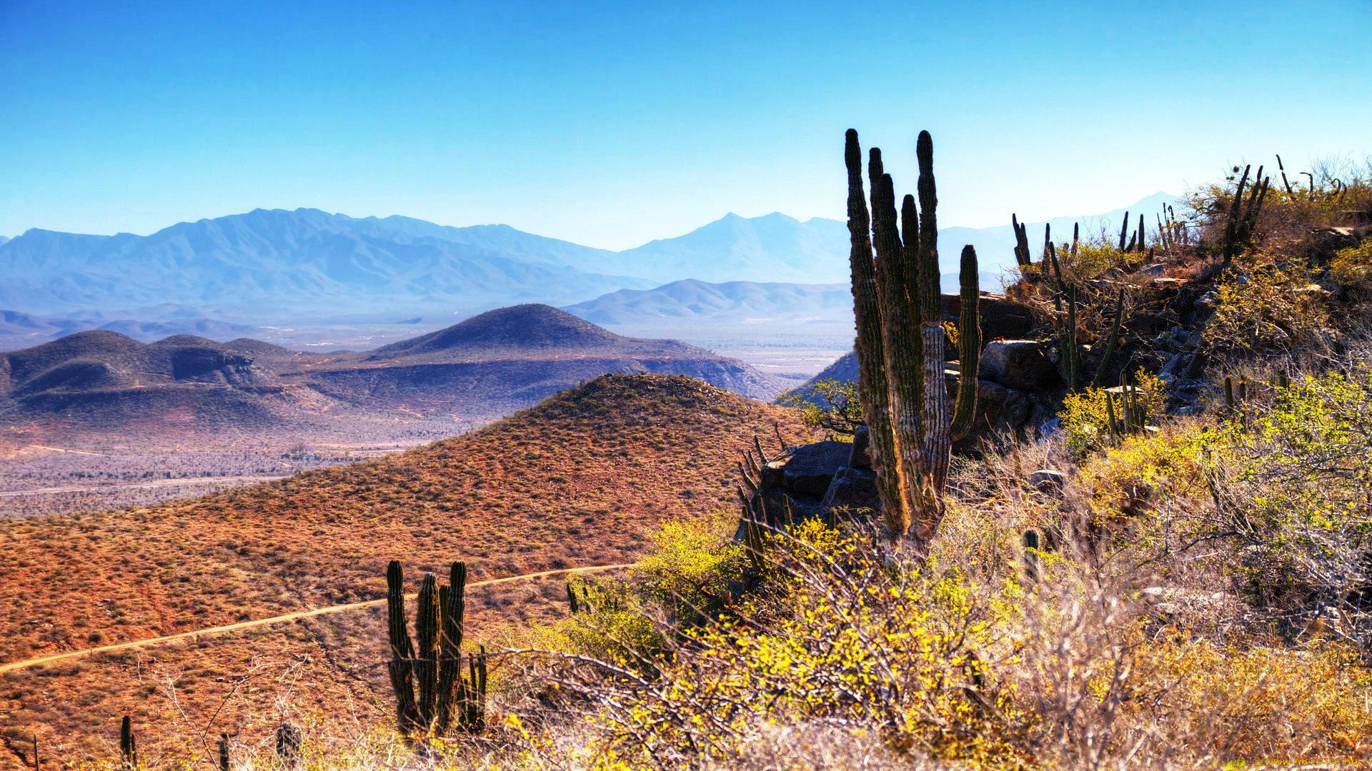 природа, пейзажи, горы, пустыня, кактусы, дорога