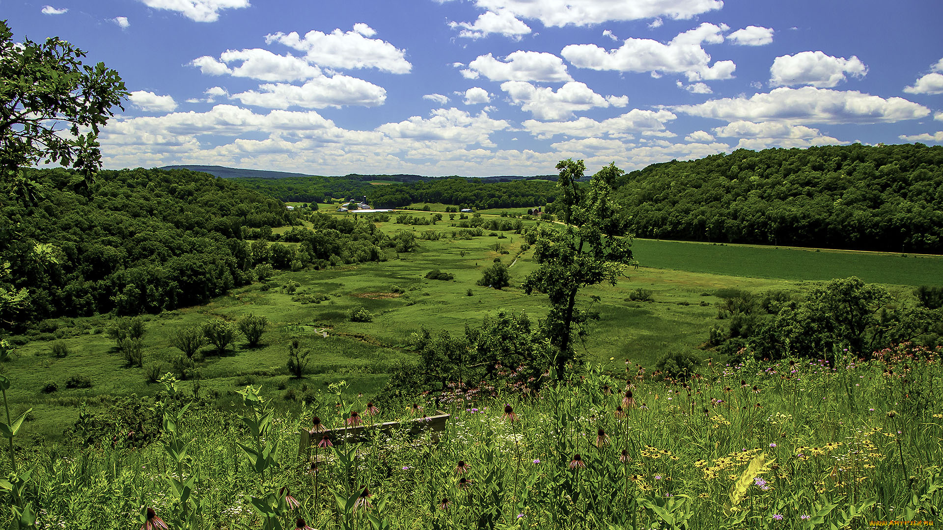 природа, пейзажи, простор