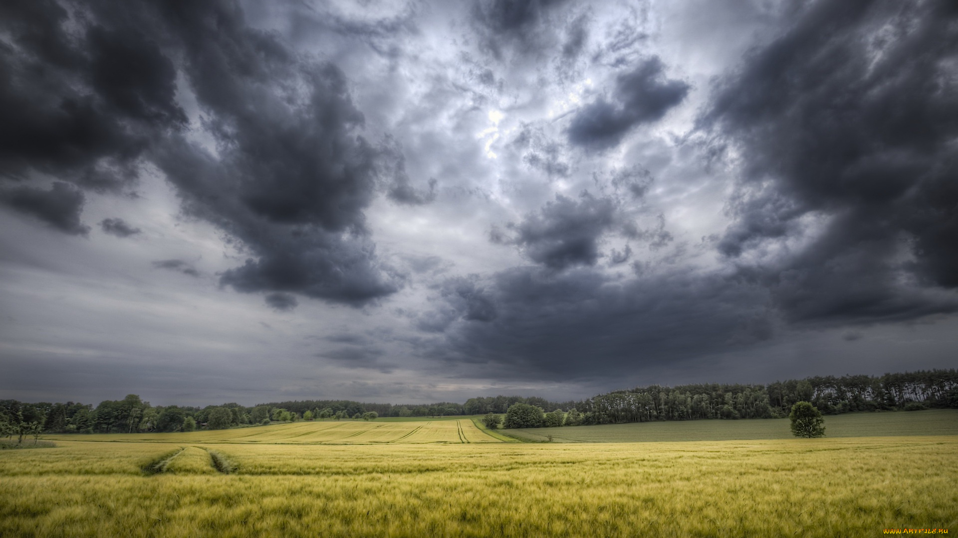 природа, поля, облака, поле