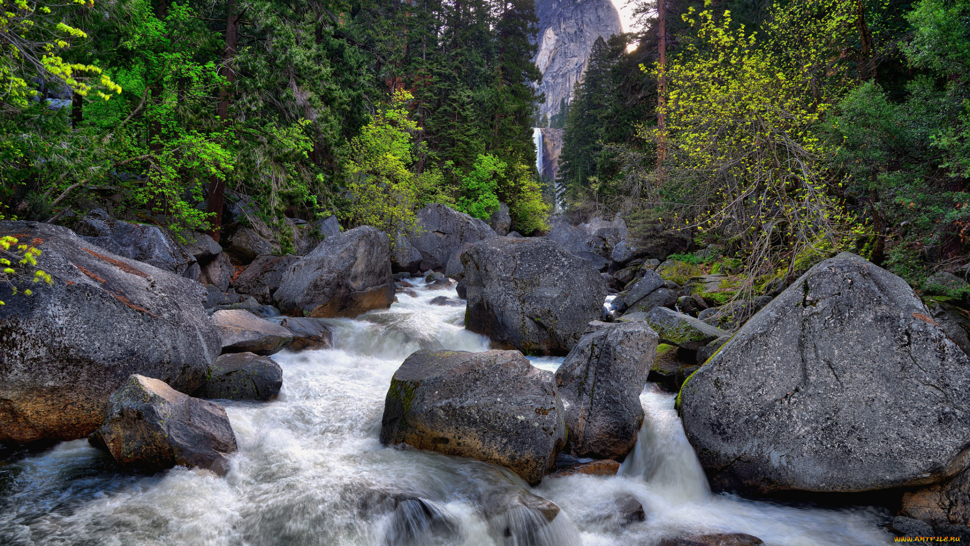 природа, реки, озера, лес, река