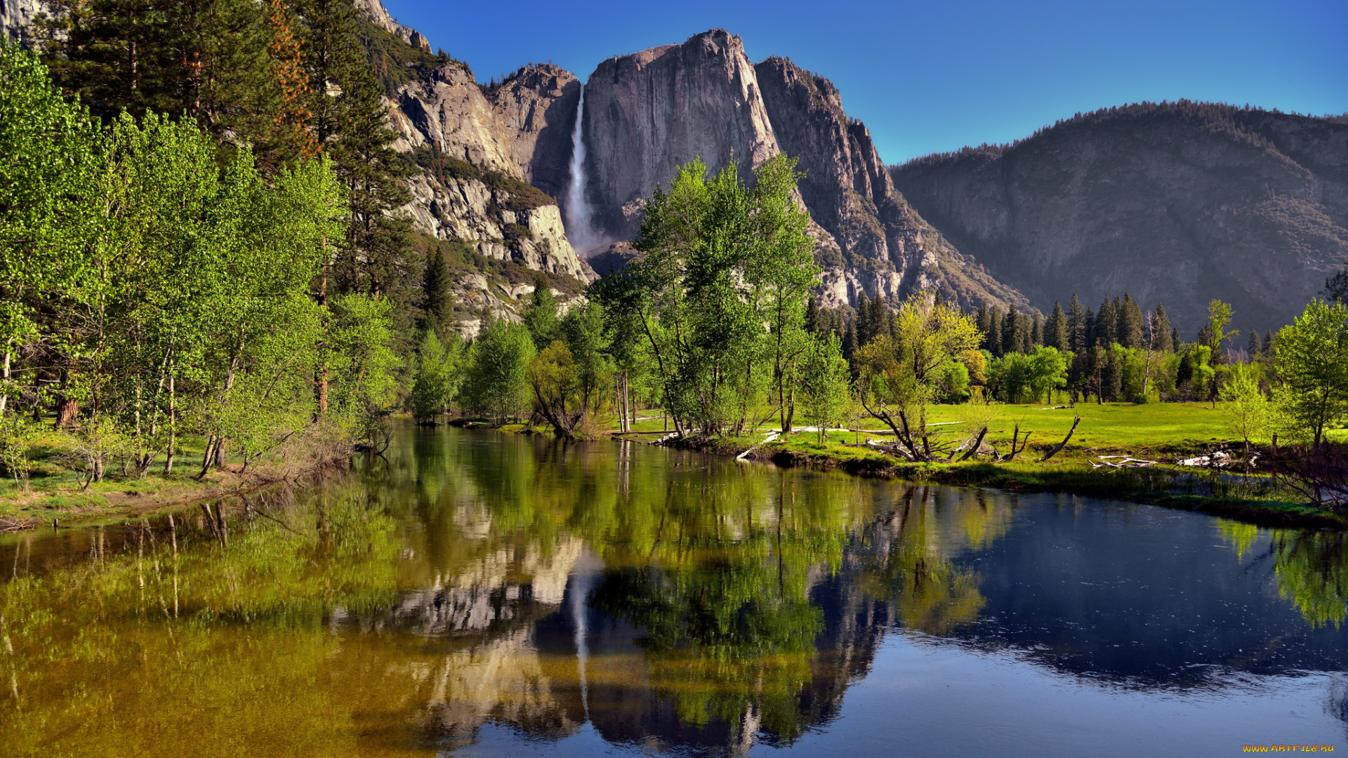 природа, реки, озера, река, лес