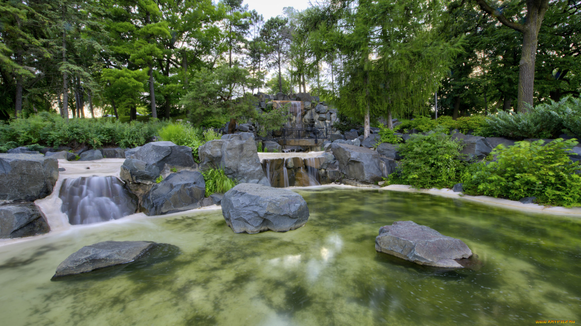 природа, реки, озера, река, лес