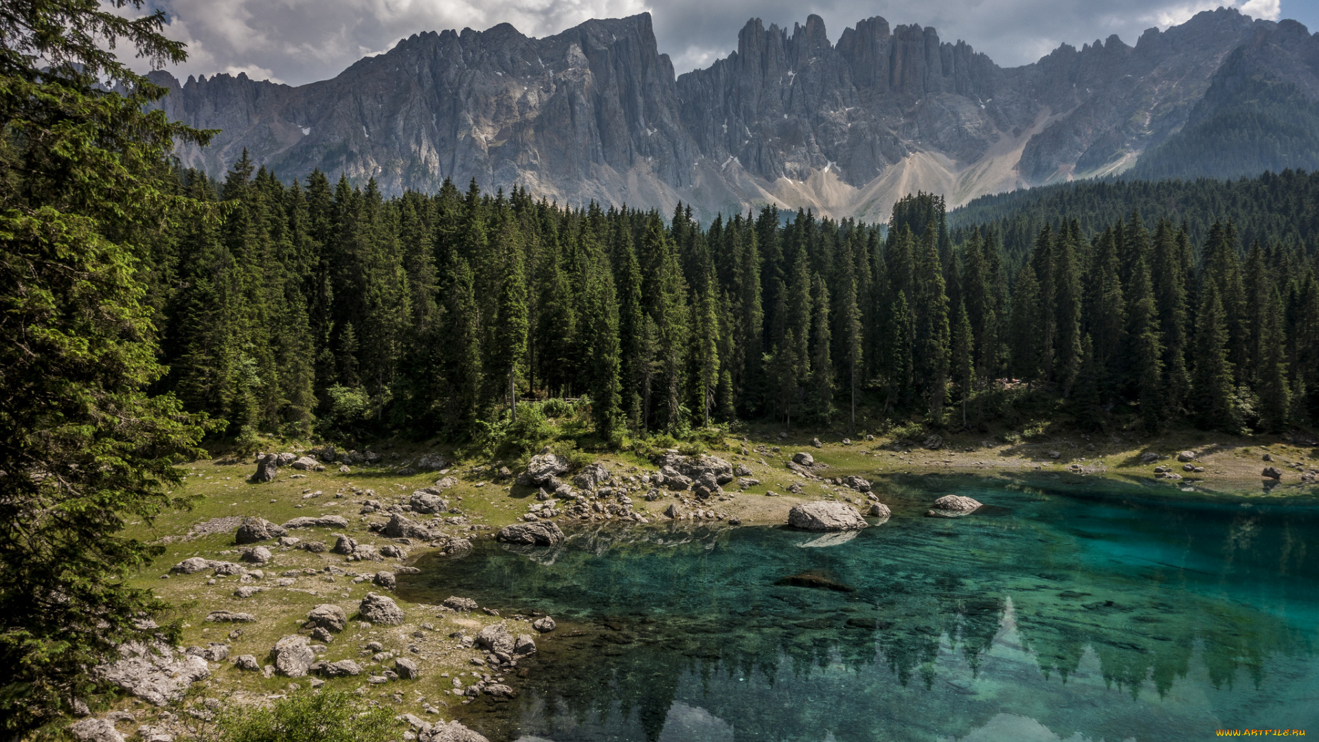 природа, реки, озера, река, лес