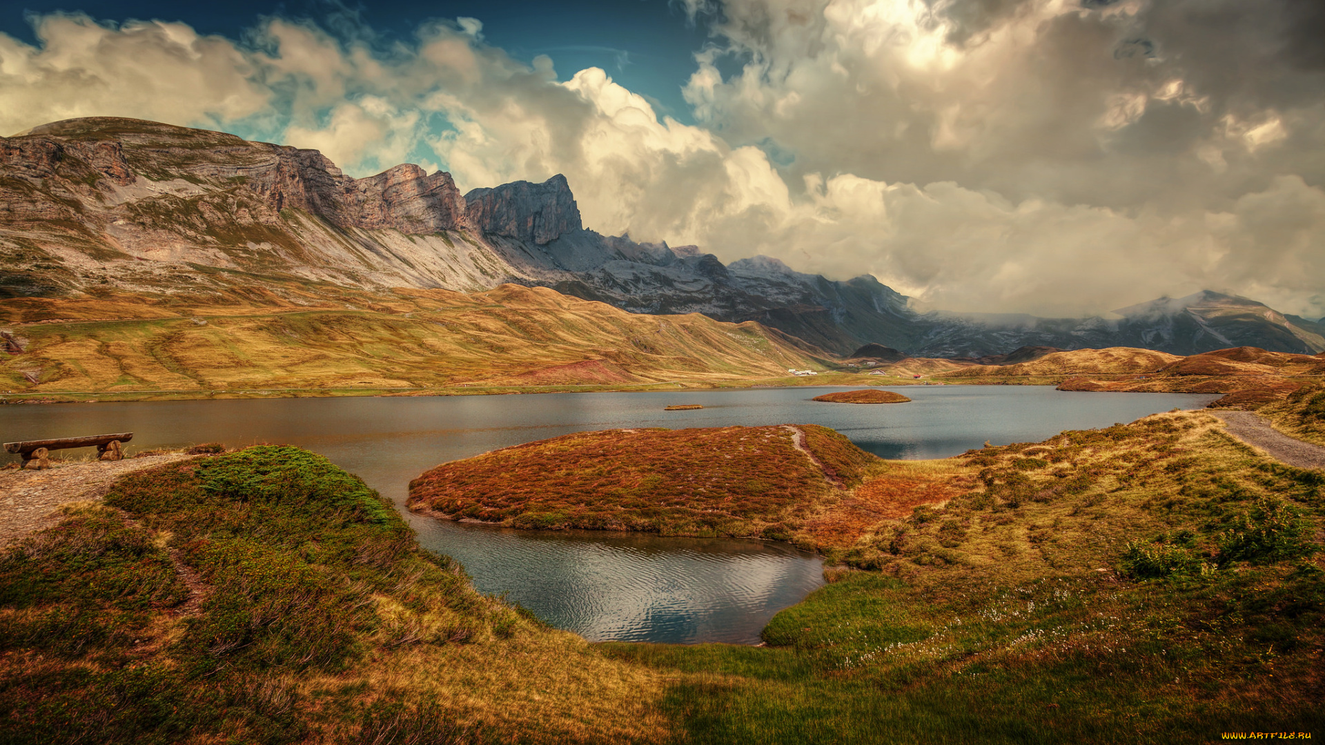 природа, реки, озера, река, лес