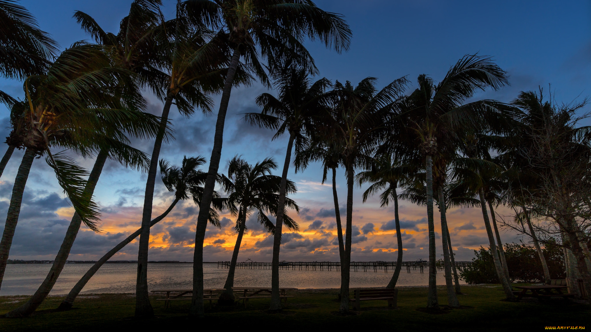 природа, тропики, курорт