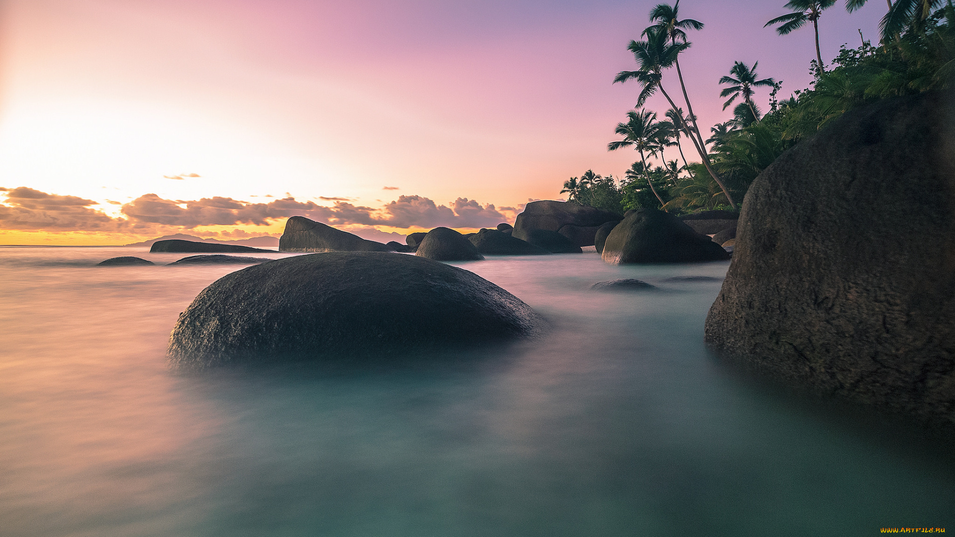 природа, тропики, курорт