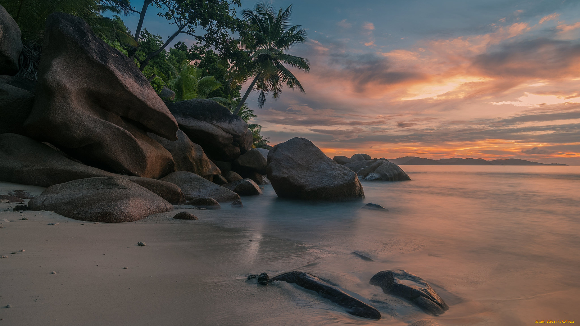 природа, тропики, курорт