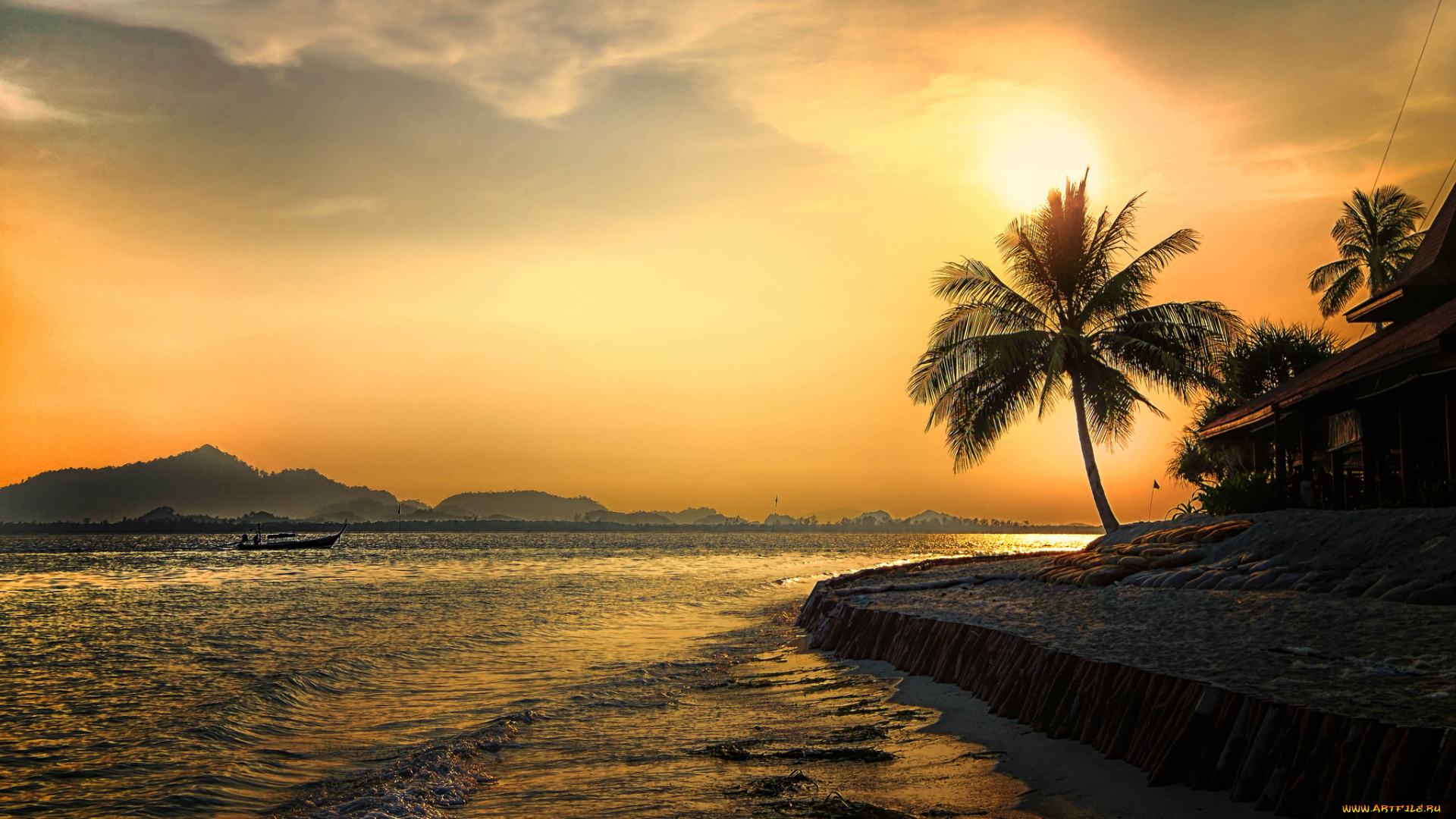 природа, тропики, курорт