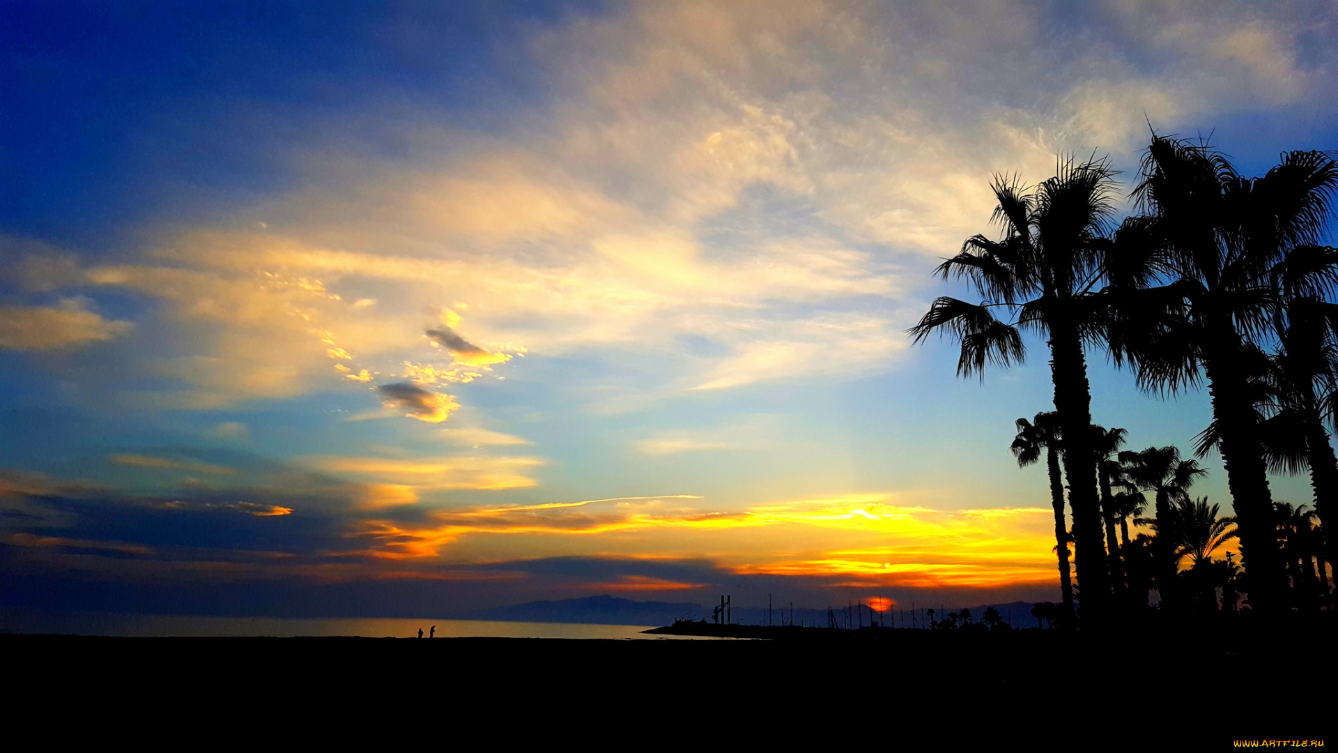 природа, тропики, курорт