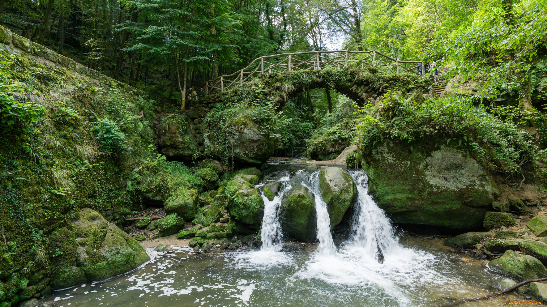 природа, водопады, лес, водопад, река