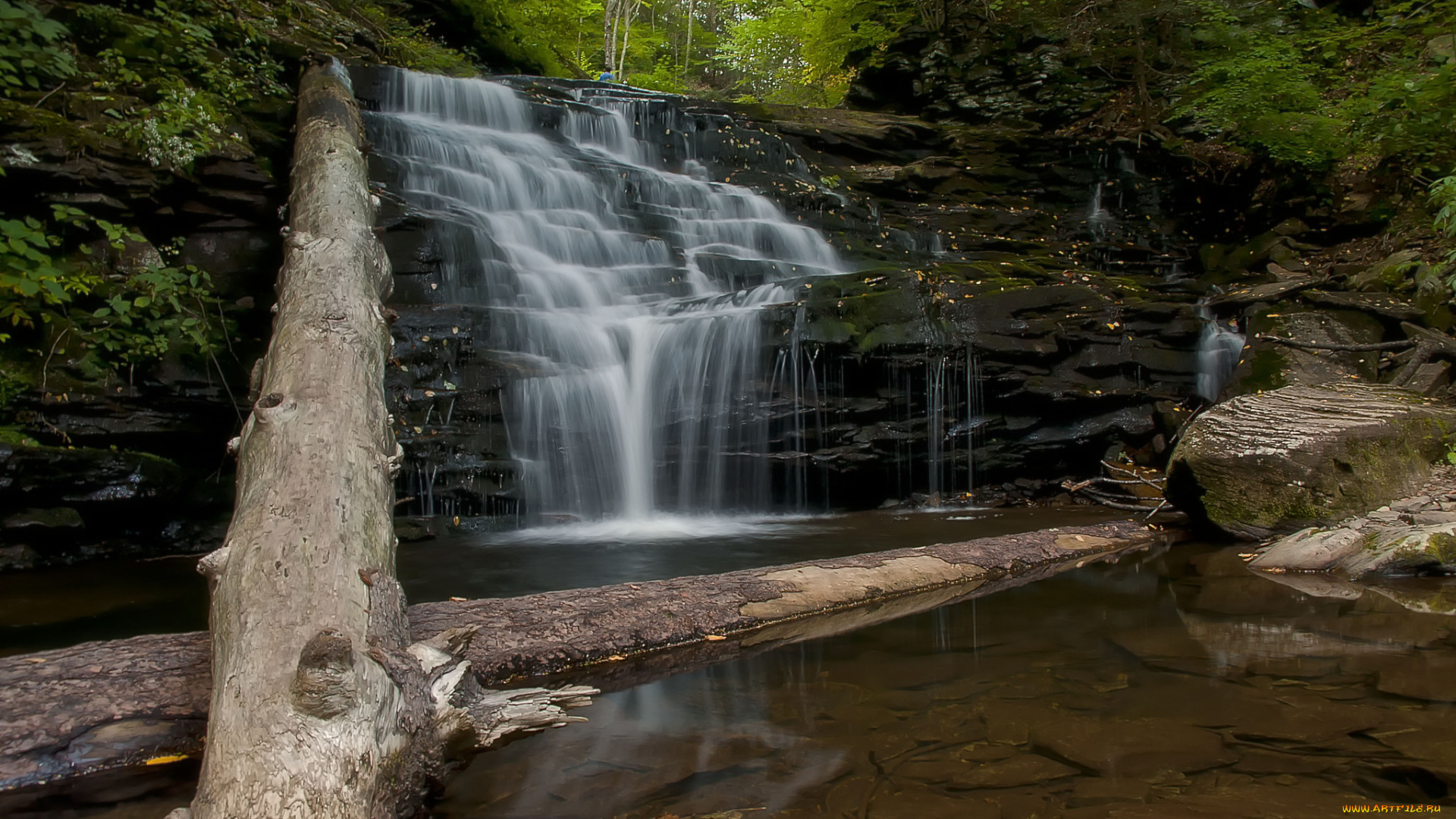природа, водопады, водопад, река, лес