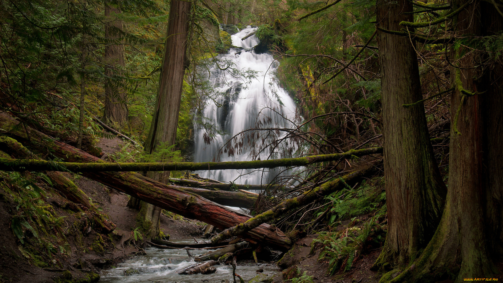 природа, водопады, водопад, река, лес