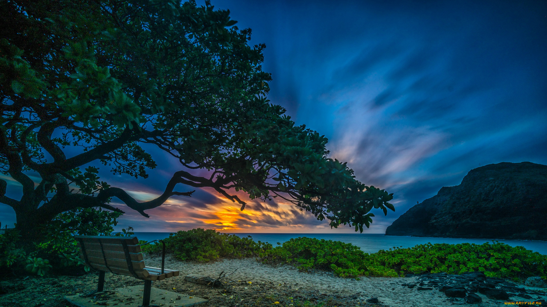 природа, восходы, закаты, водоем, скамейка, дерево, холм